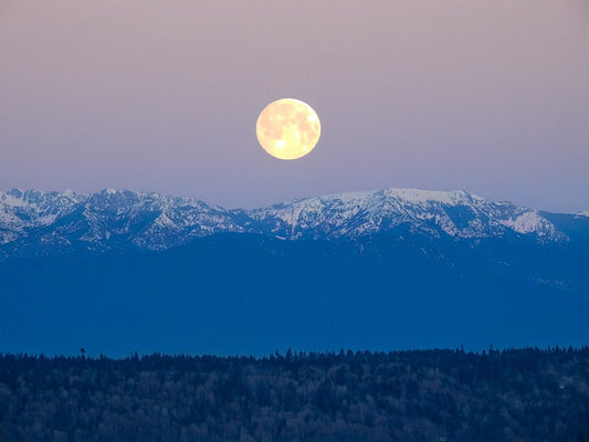 🌕 Full Moon Magic: A Simple Ritual & Crystals to Harness Its Power!