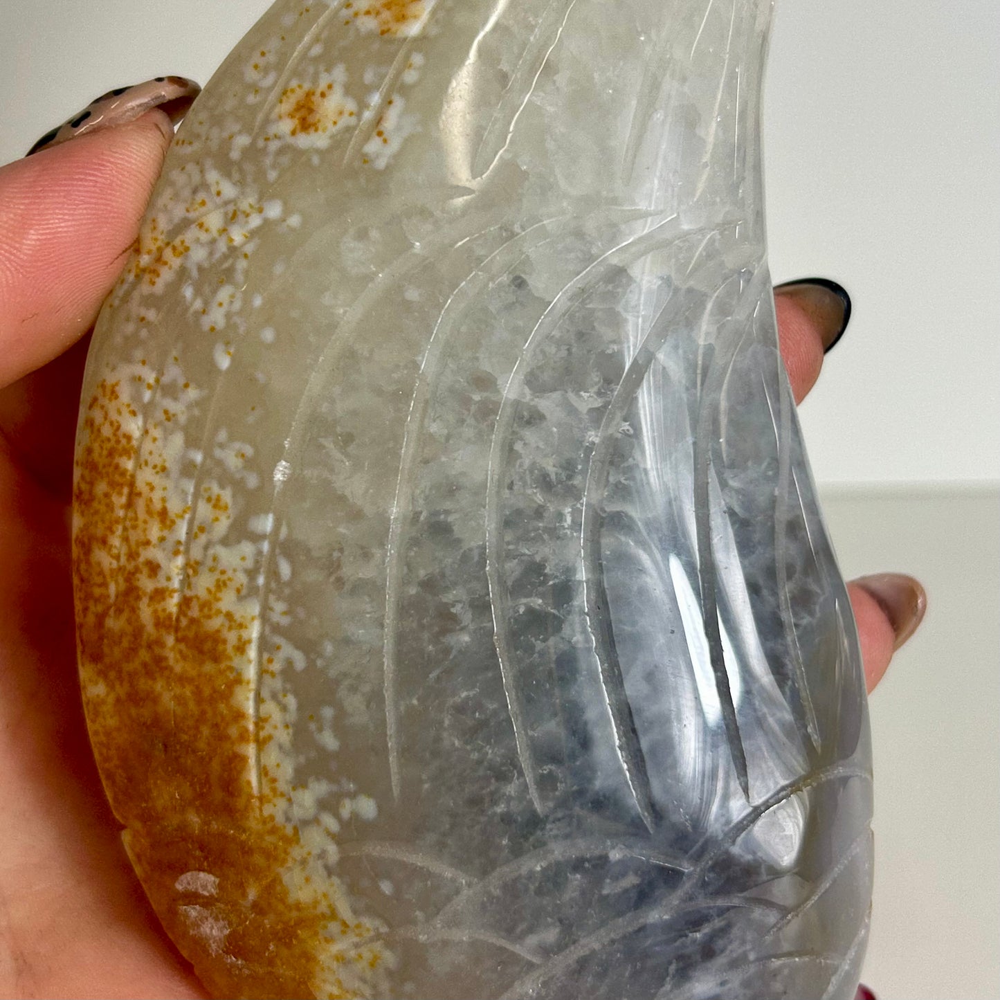 Agate Wing (12cm)