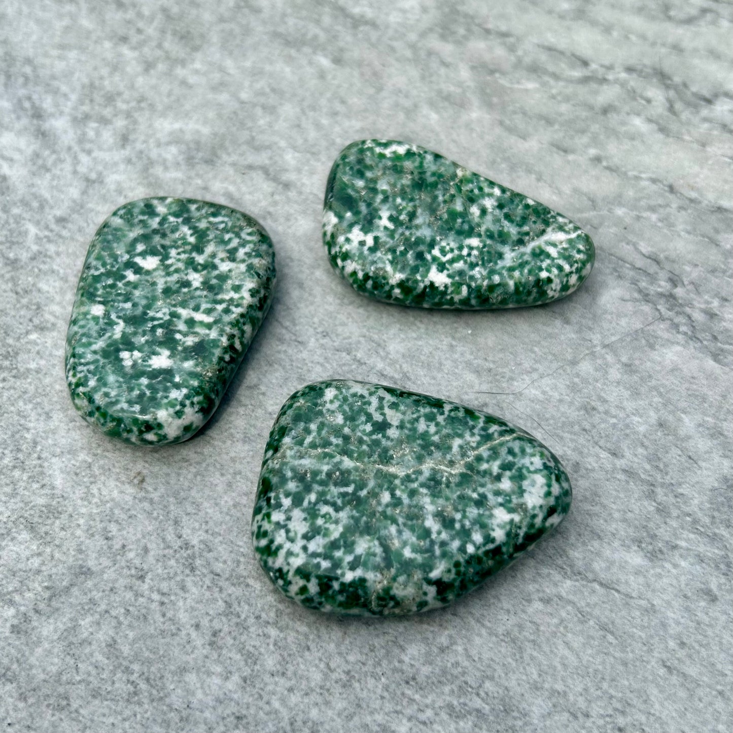 Tree Agate Palm Stones