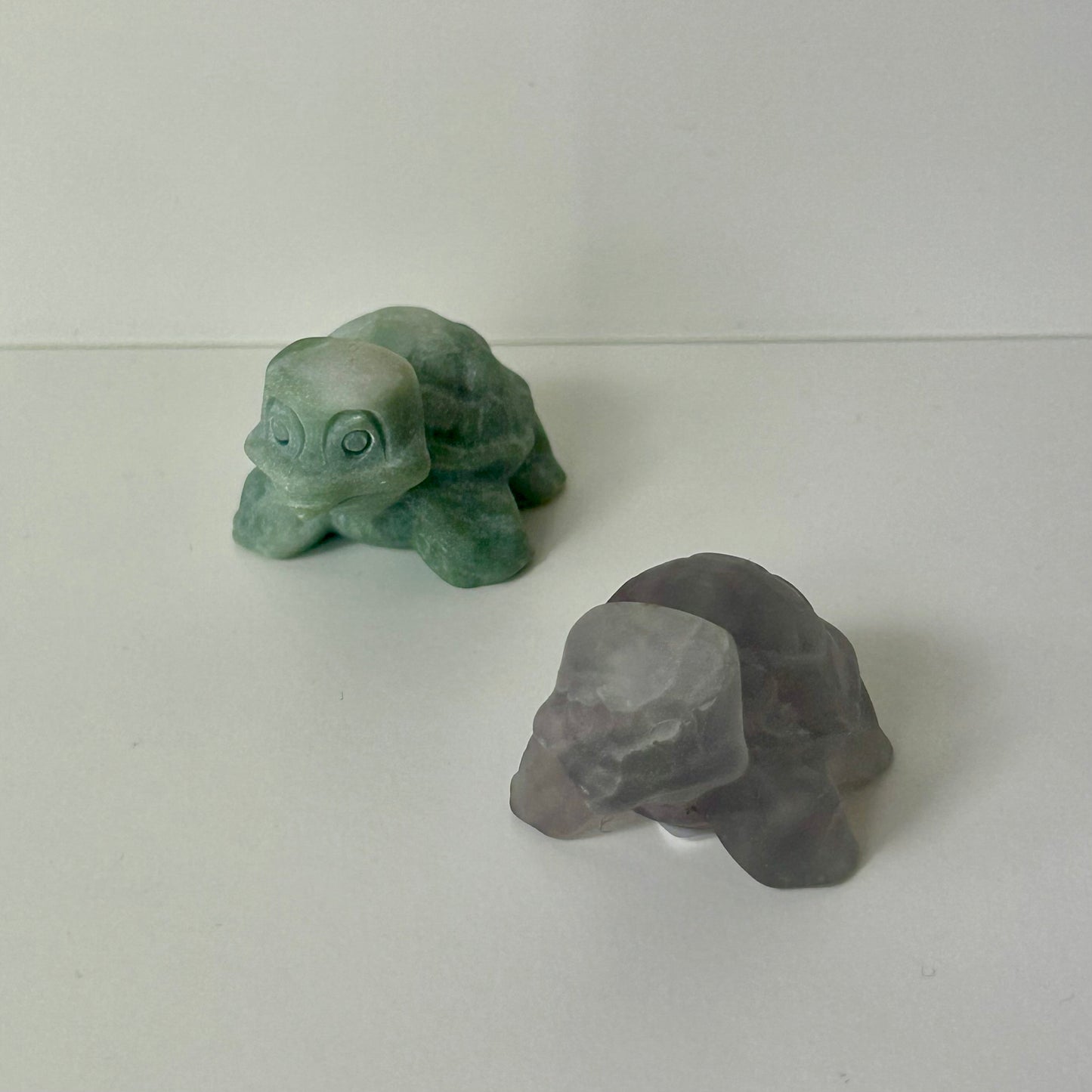 Sale Squirtle Turtle