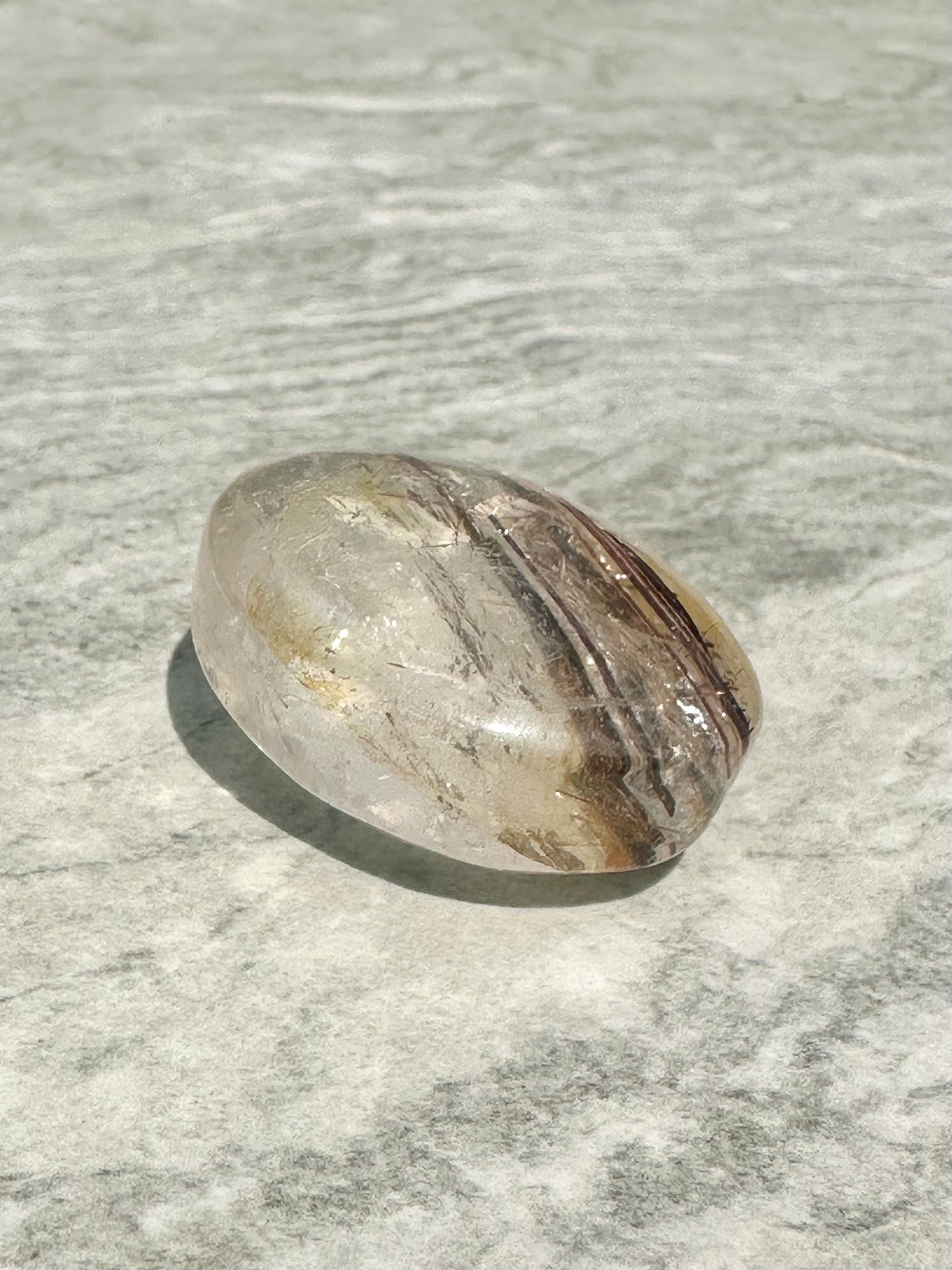Rutile Palm