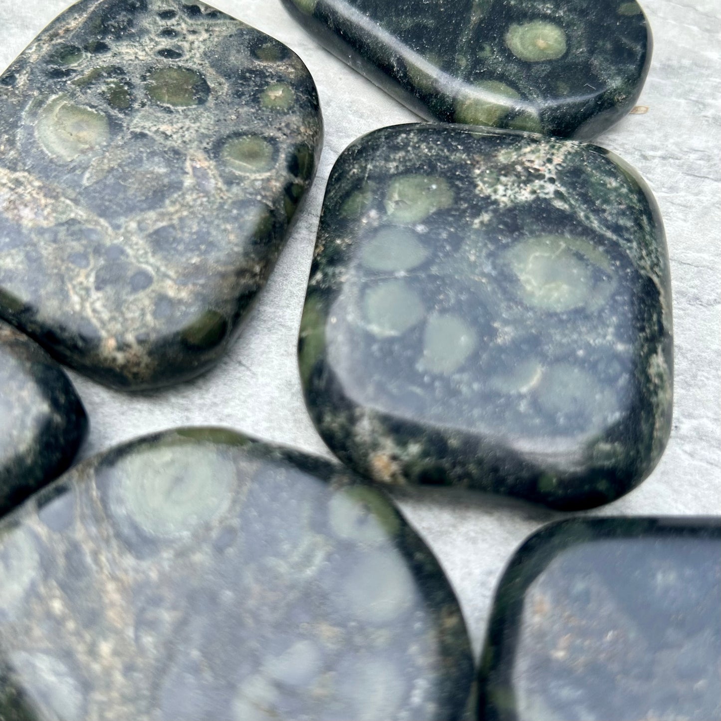 Kumbaba Palm Stones