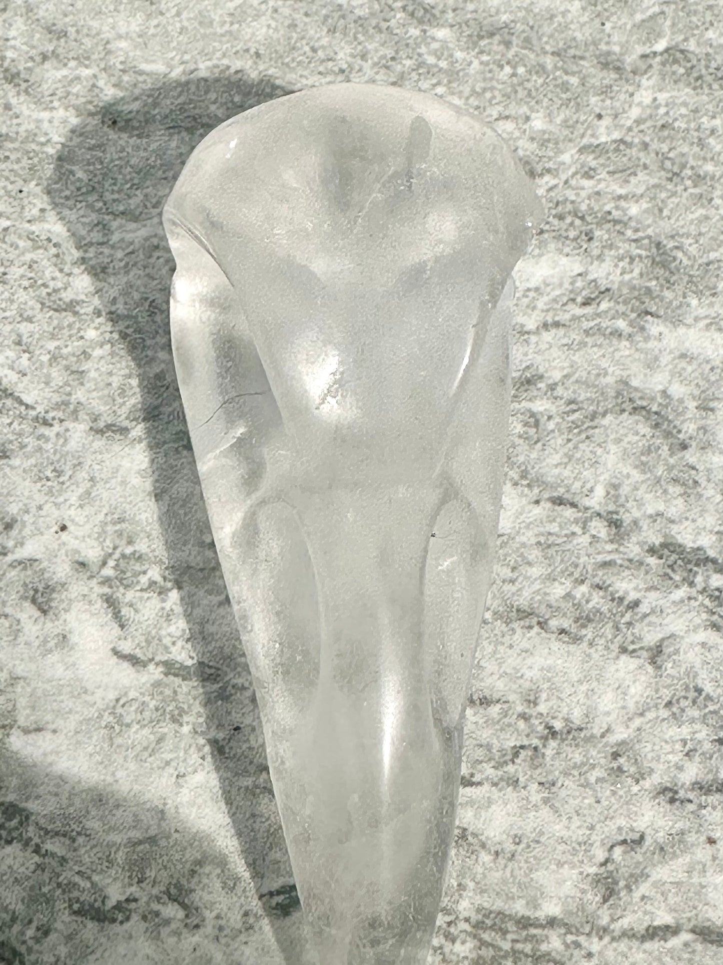 Clear Quartz raven head