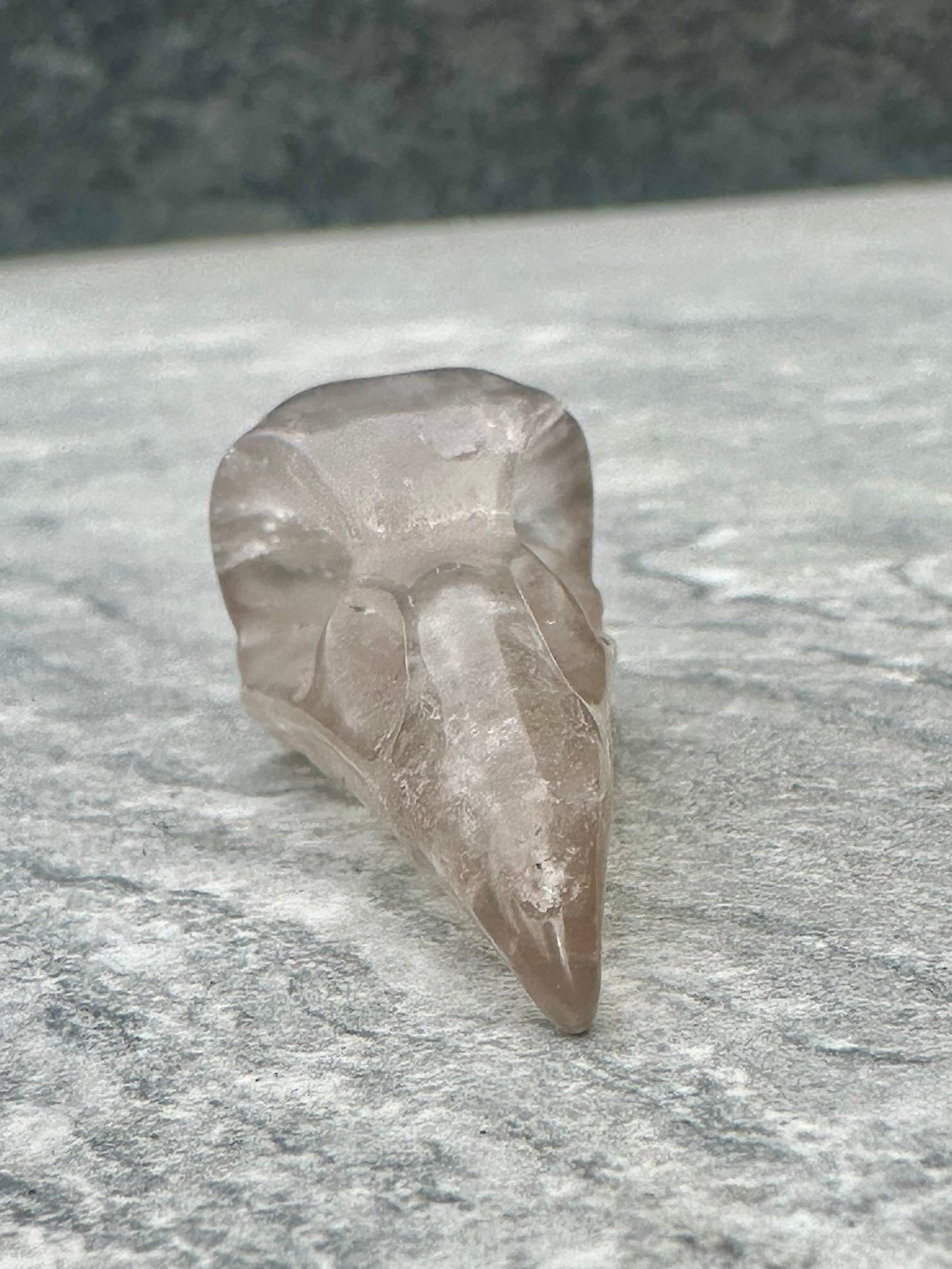 Raven heads clear Quartz and smoky quartz