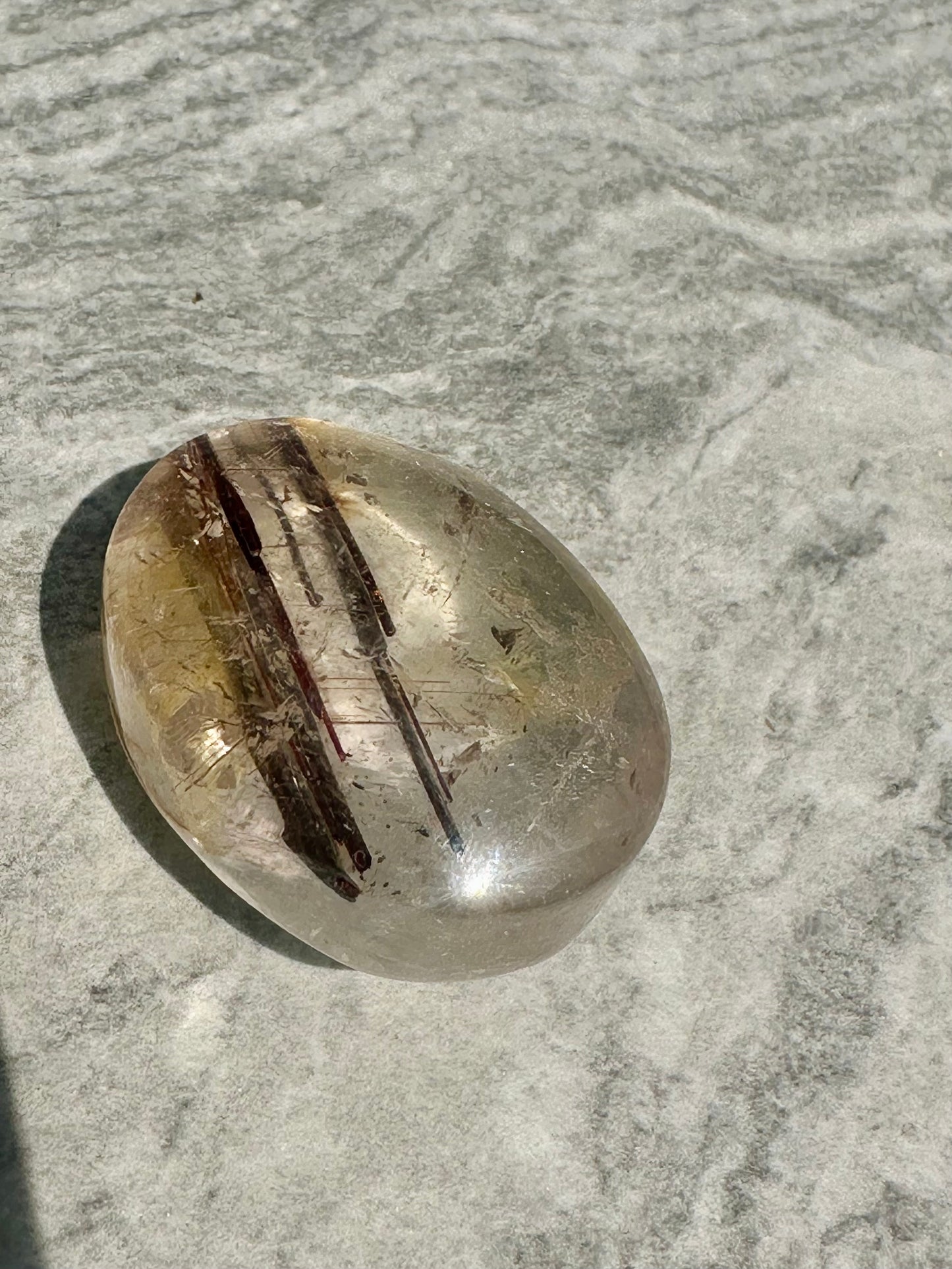 Rutile Palm