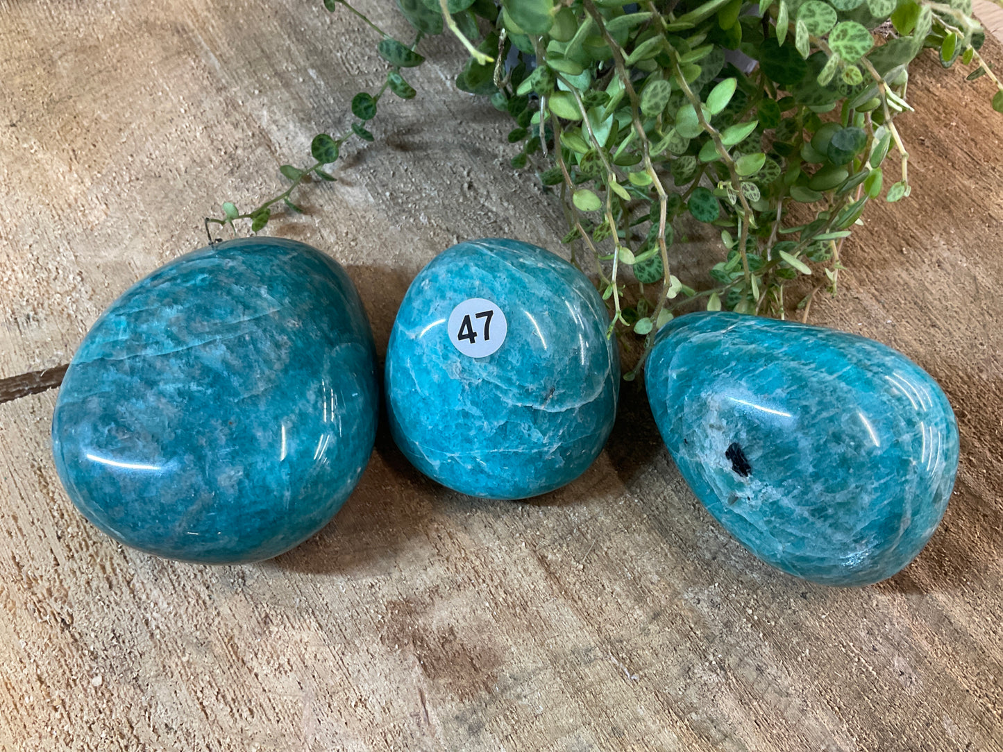 Amazonite Palms
