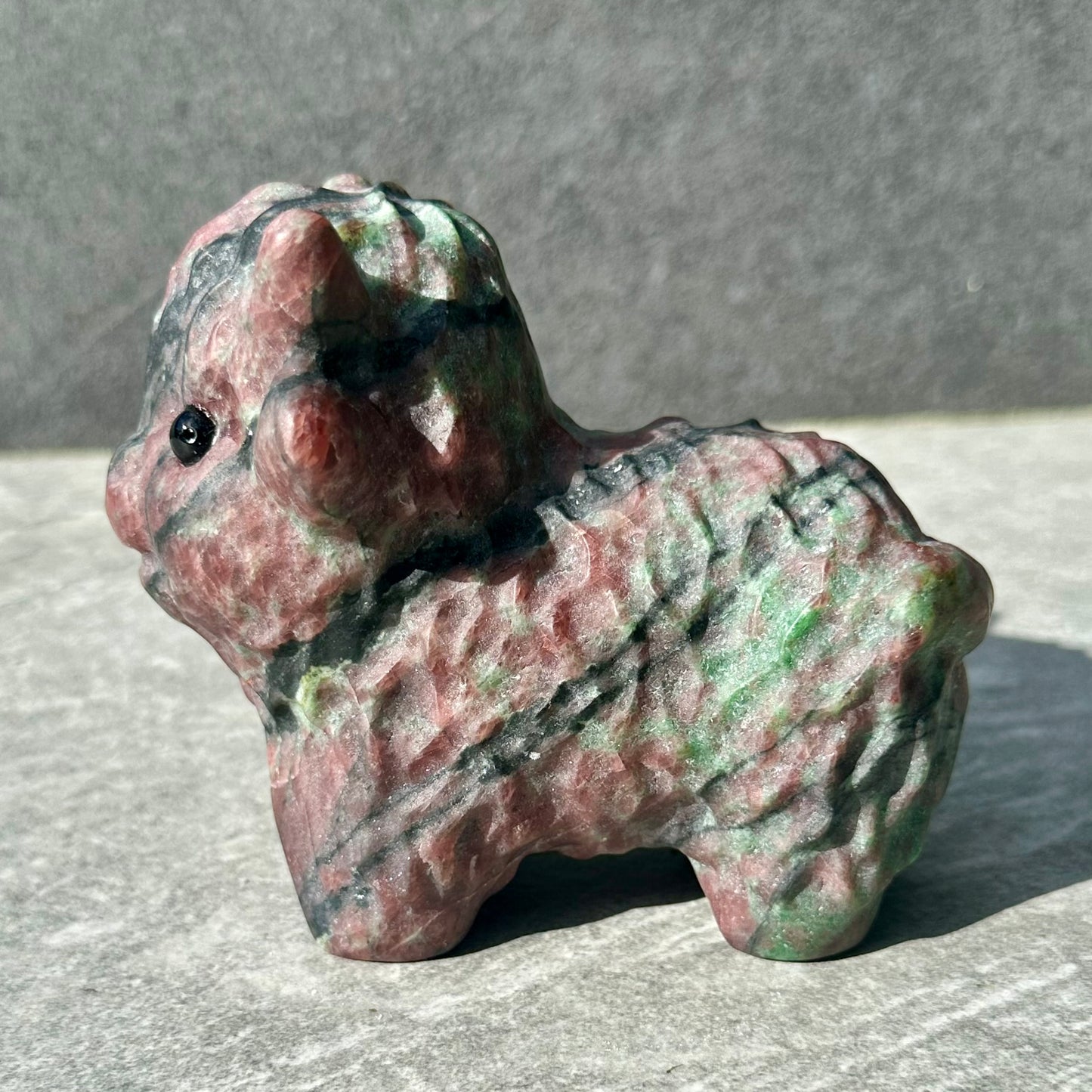 Large Mixed Jasper Highland Cow