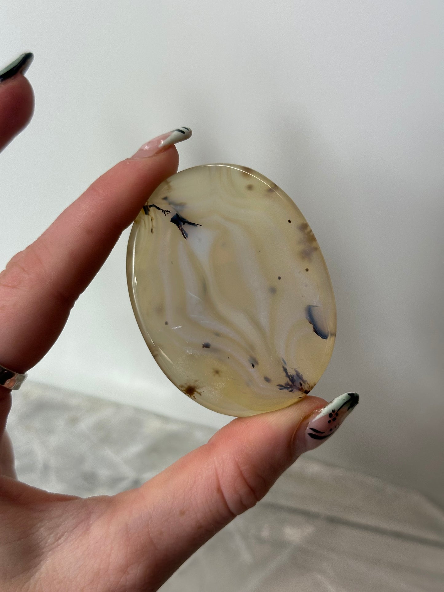 Dentric Agate Palm