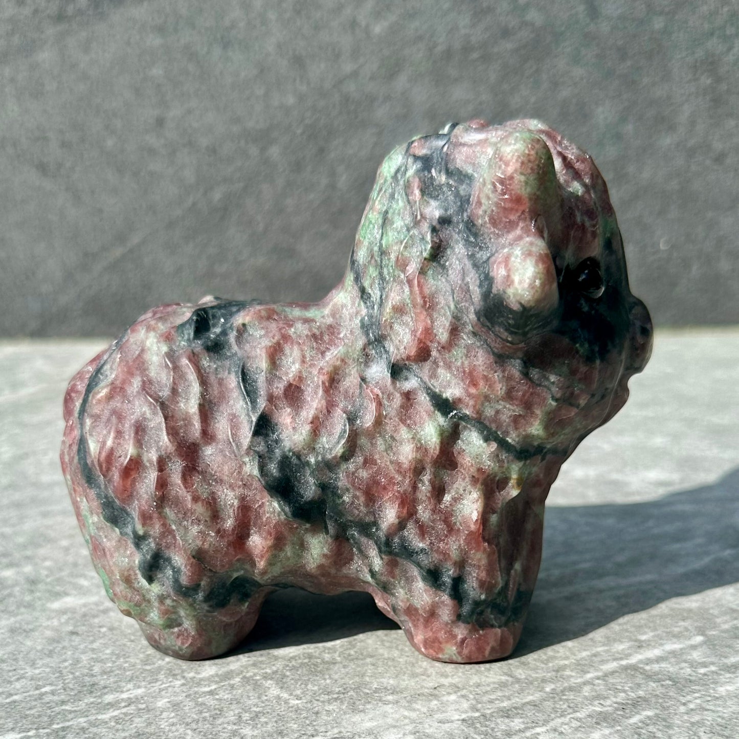 Large Mixed Jasper Highland Cow