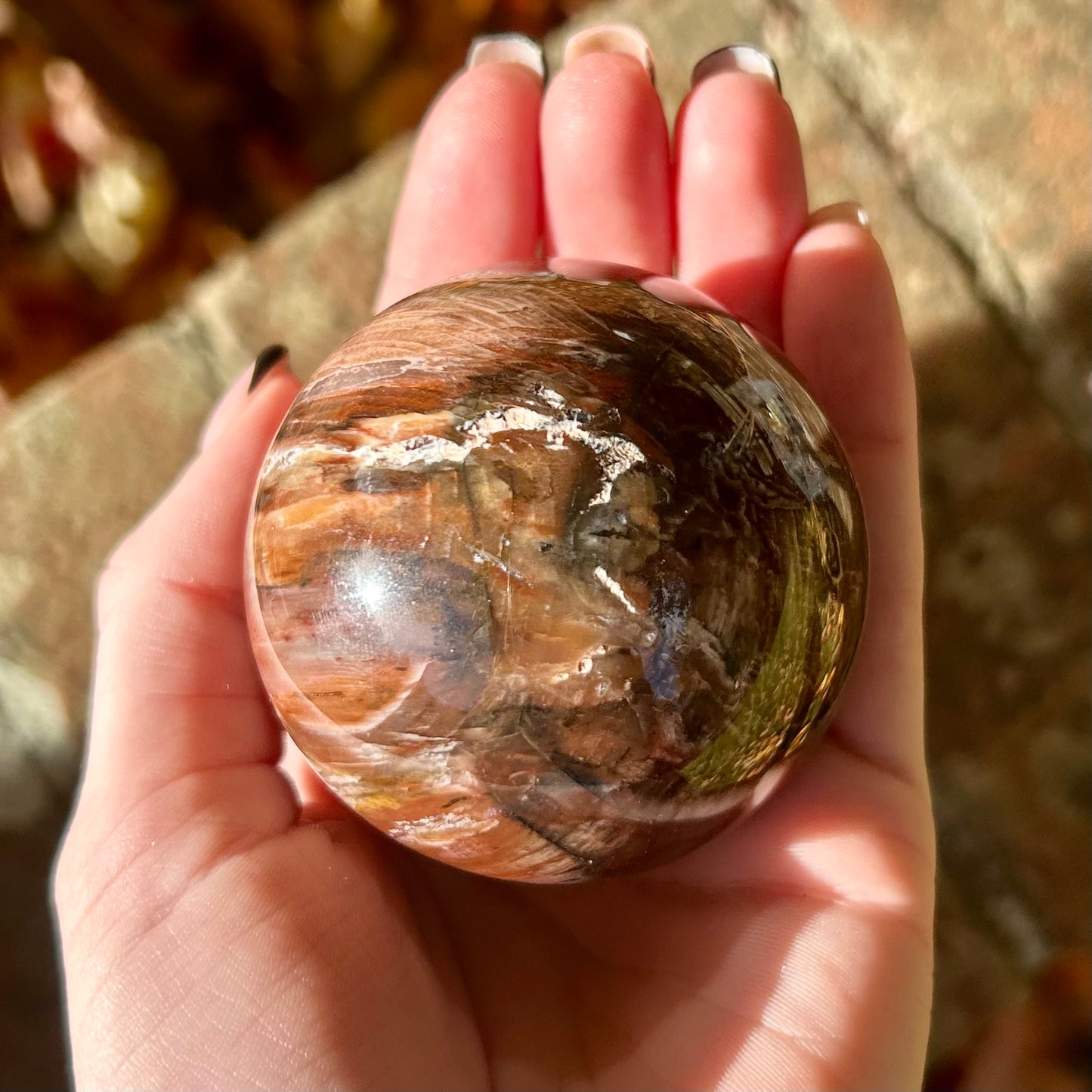 Fossilised Wood Sphere