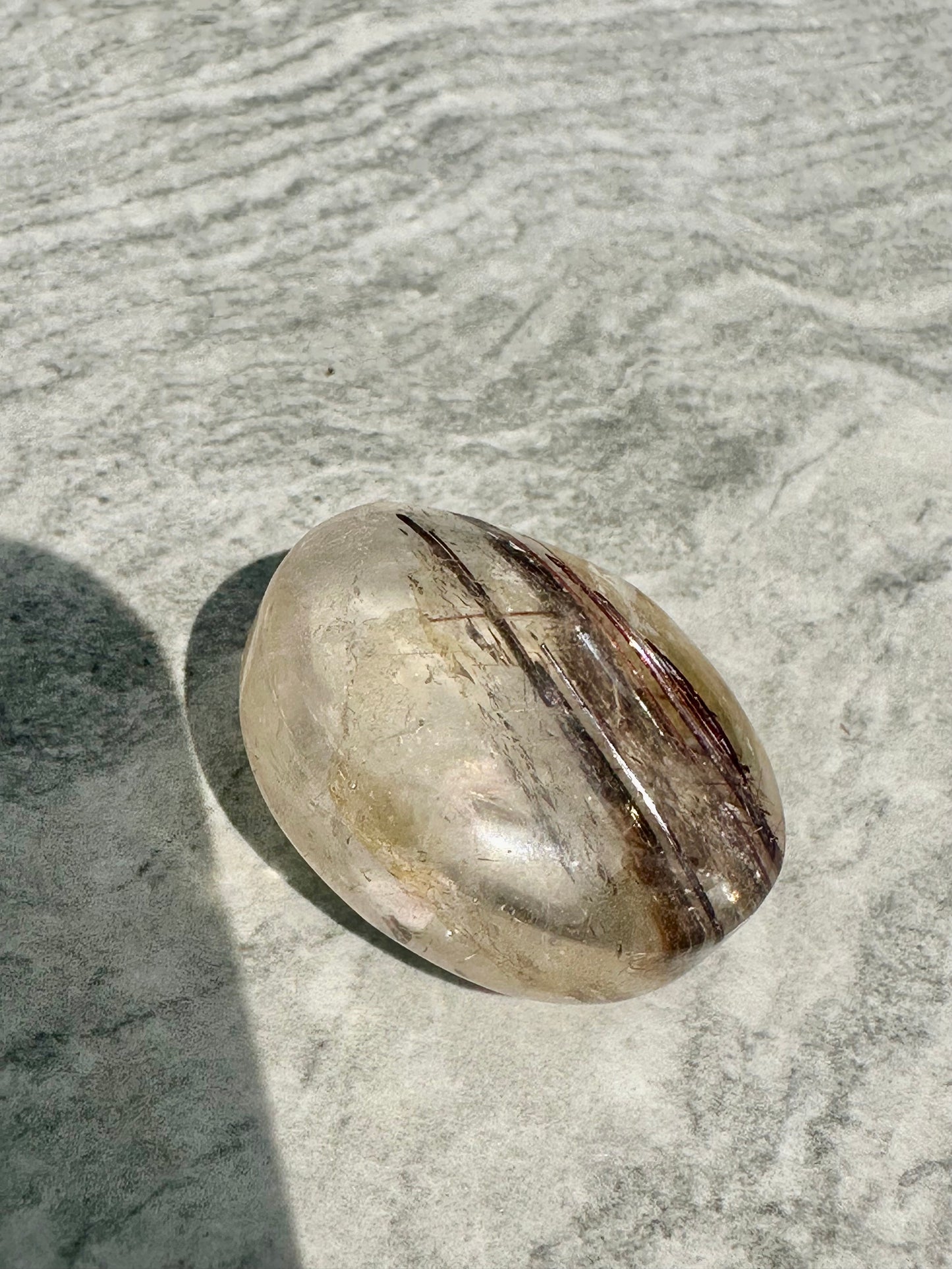 Rutile Palm