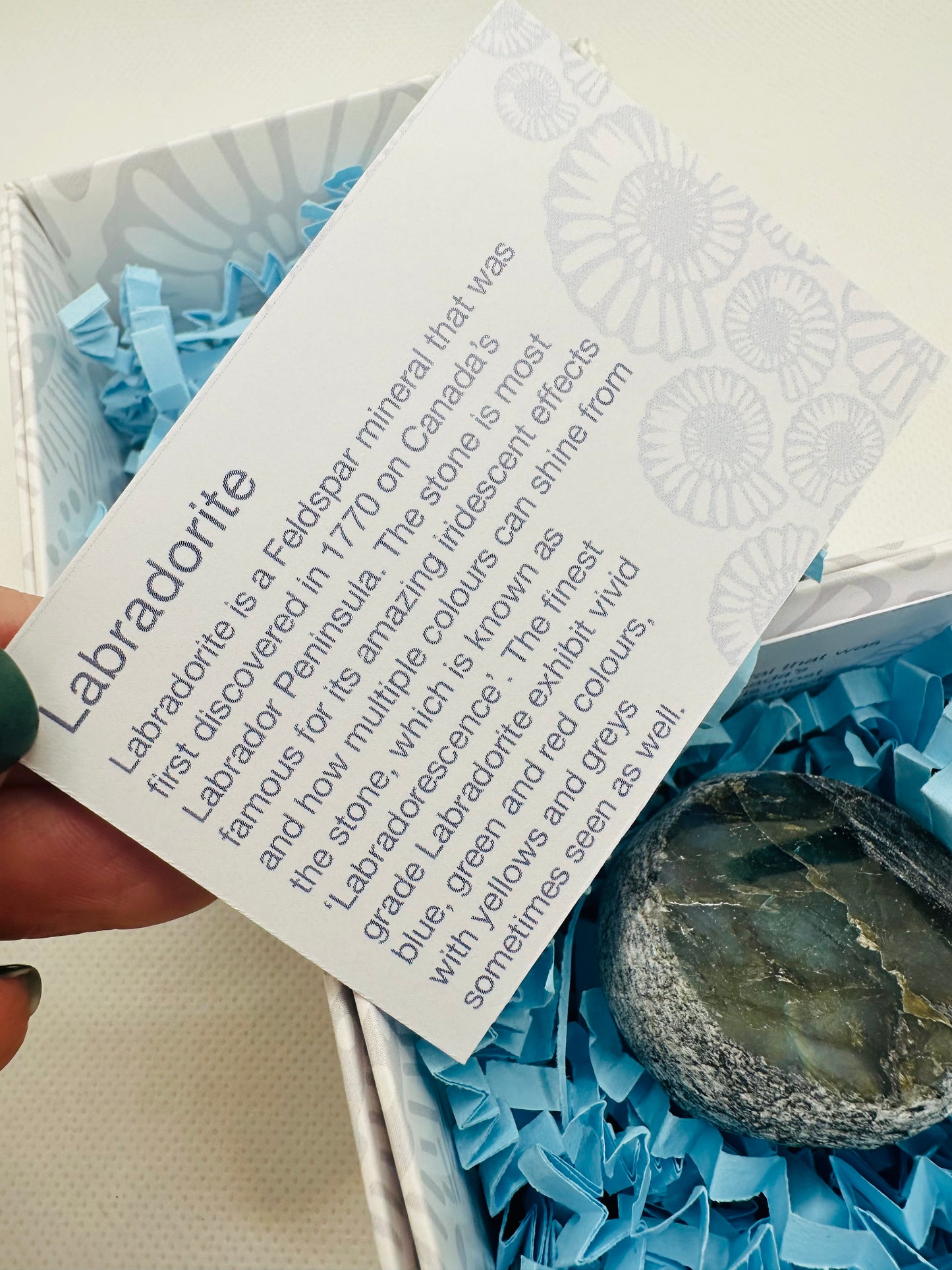 Labradorite Dragon Egg