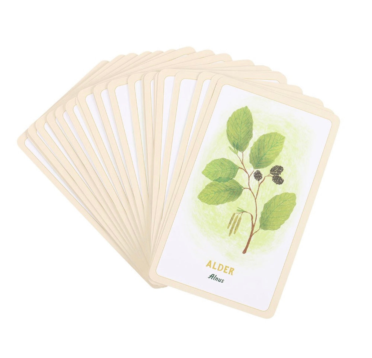 Forest Magic Oracle cards