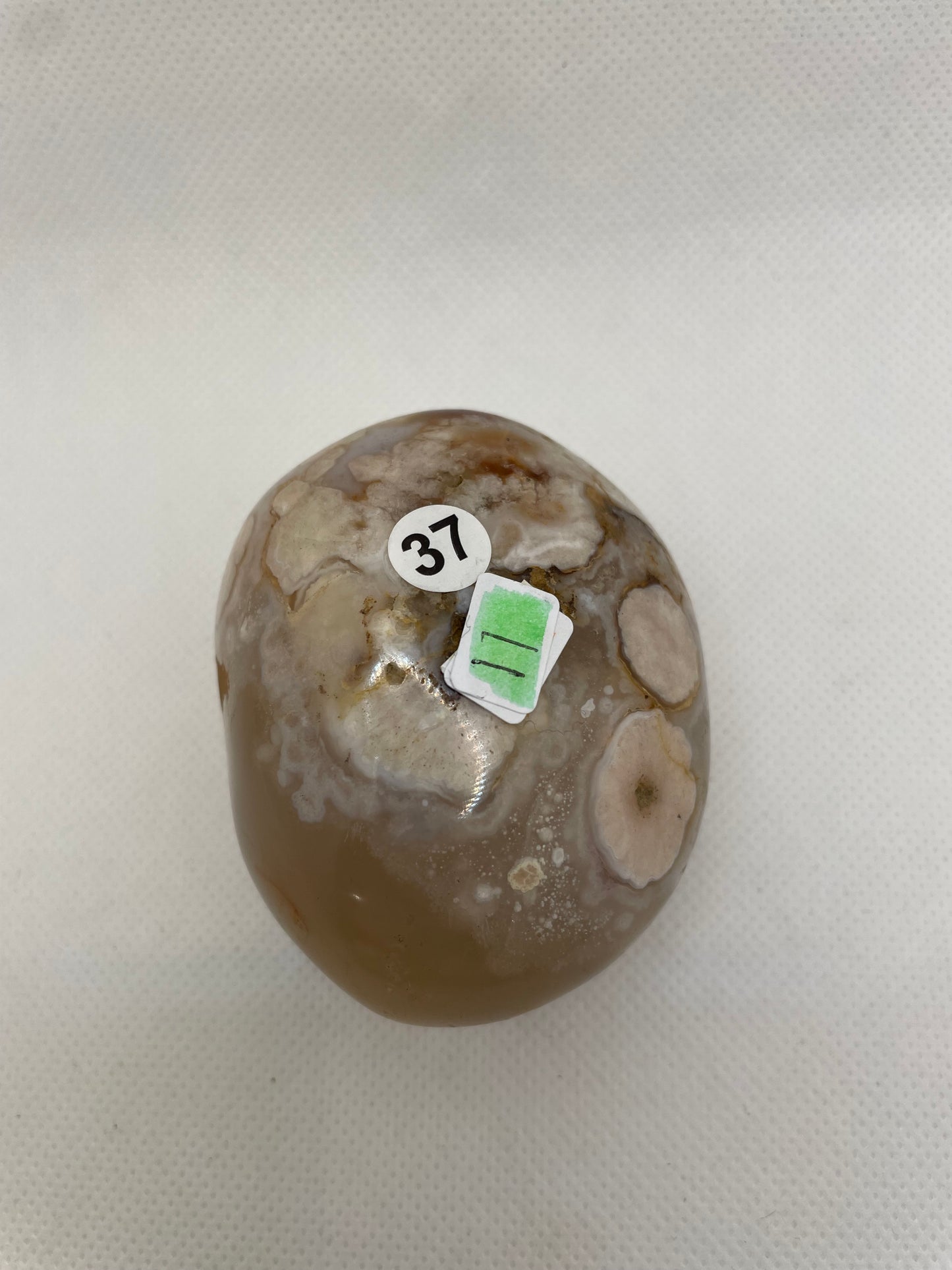 Flower Agate Free Form