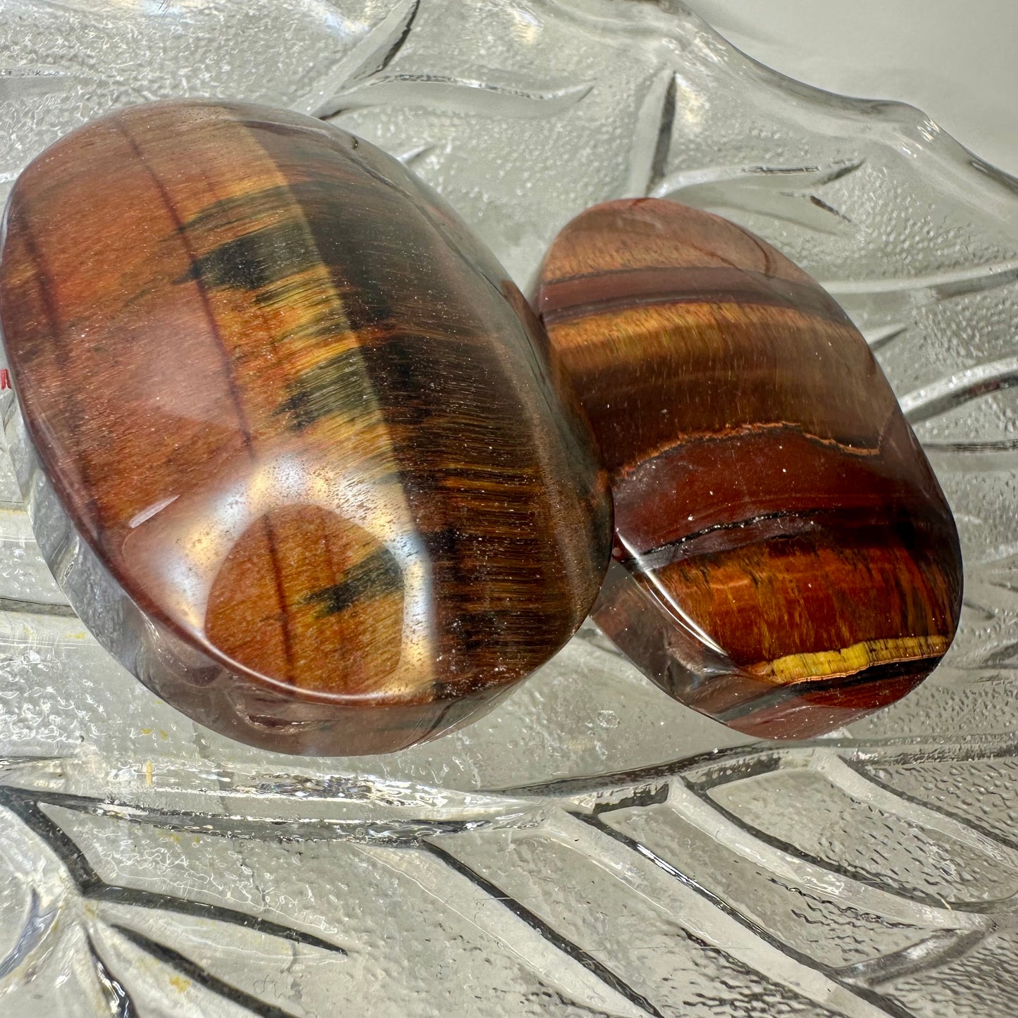 Red Tigers Eye Palms