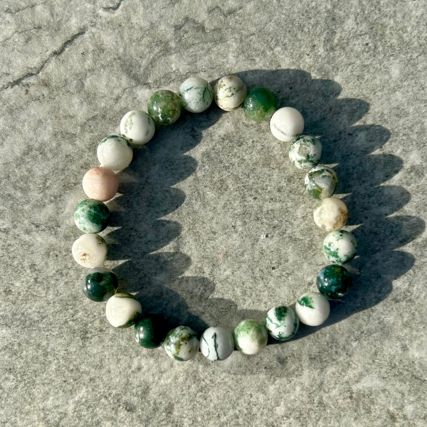 Tree Agate Bracelet 8mm