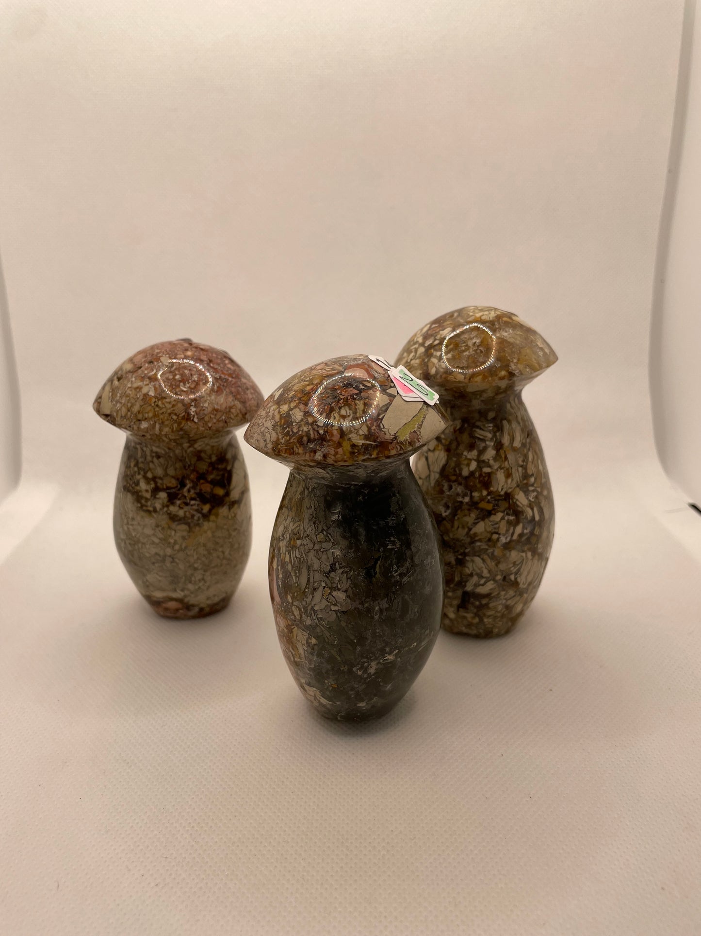 Large Mushrooms