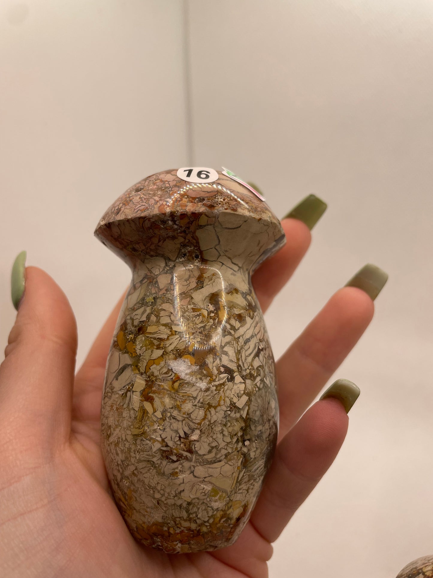 Large Mushrooms