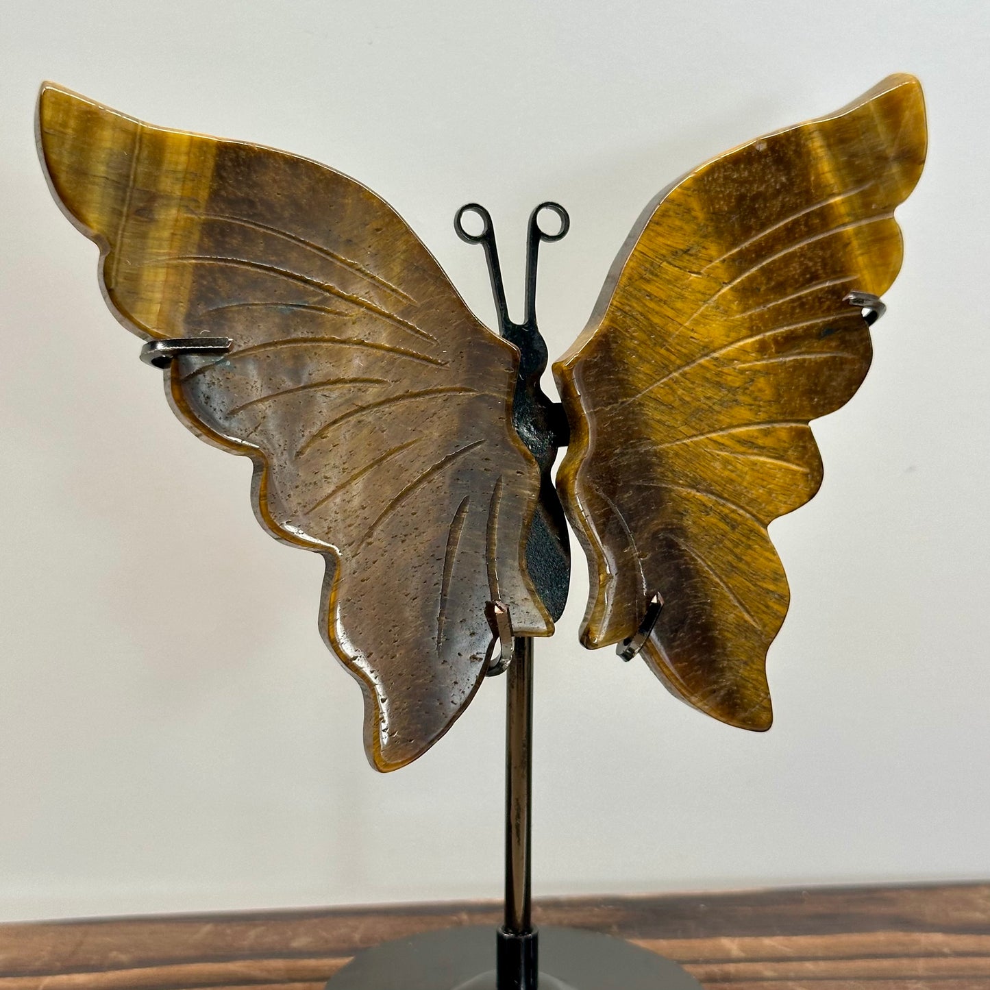 Tigers Eye Butterfly Wings