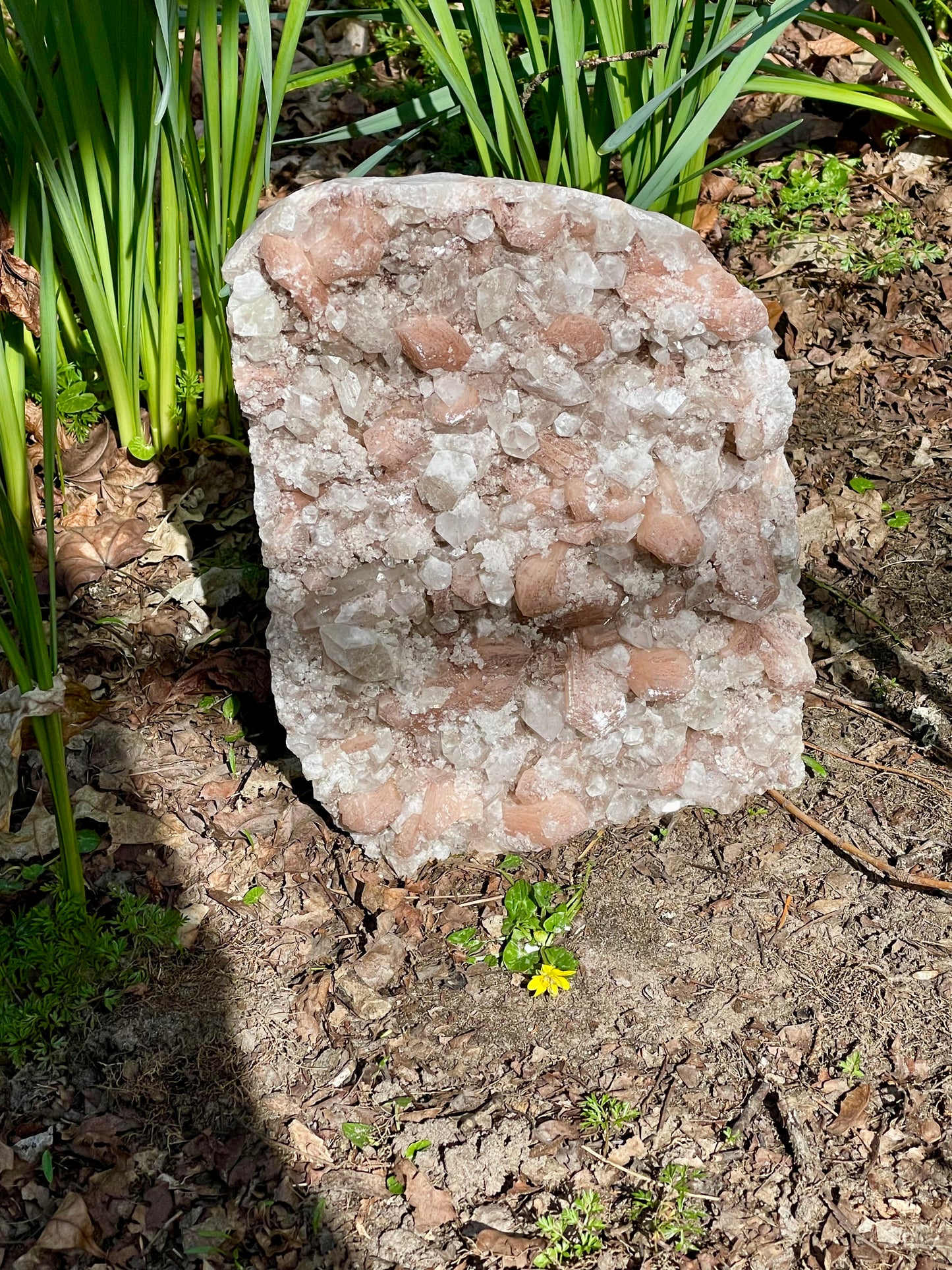 Apophyllite & Pink Stilbite Raw Statement Piece