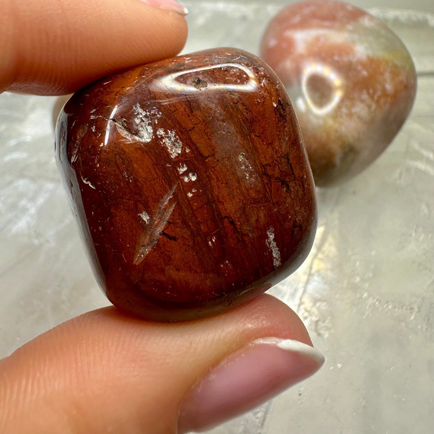Fossilised Wood Tumbles