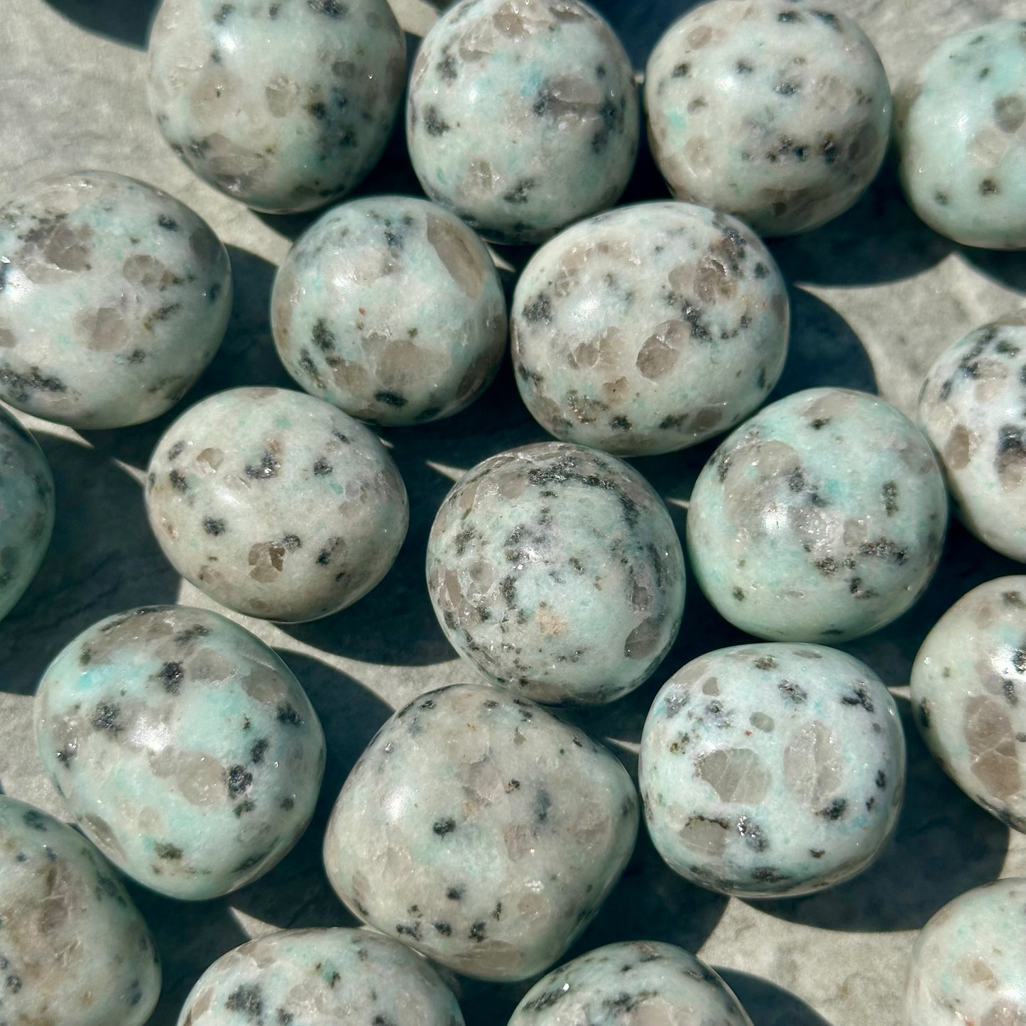 Kiwi Jasper Tumbles