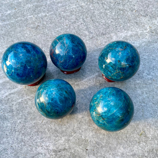 Blue Appetite Spheres