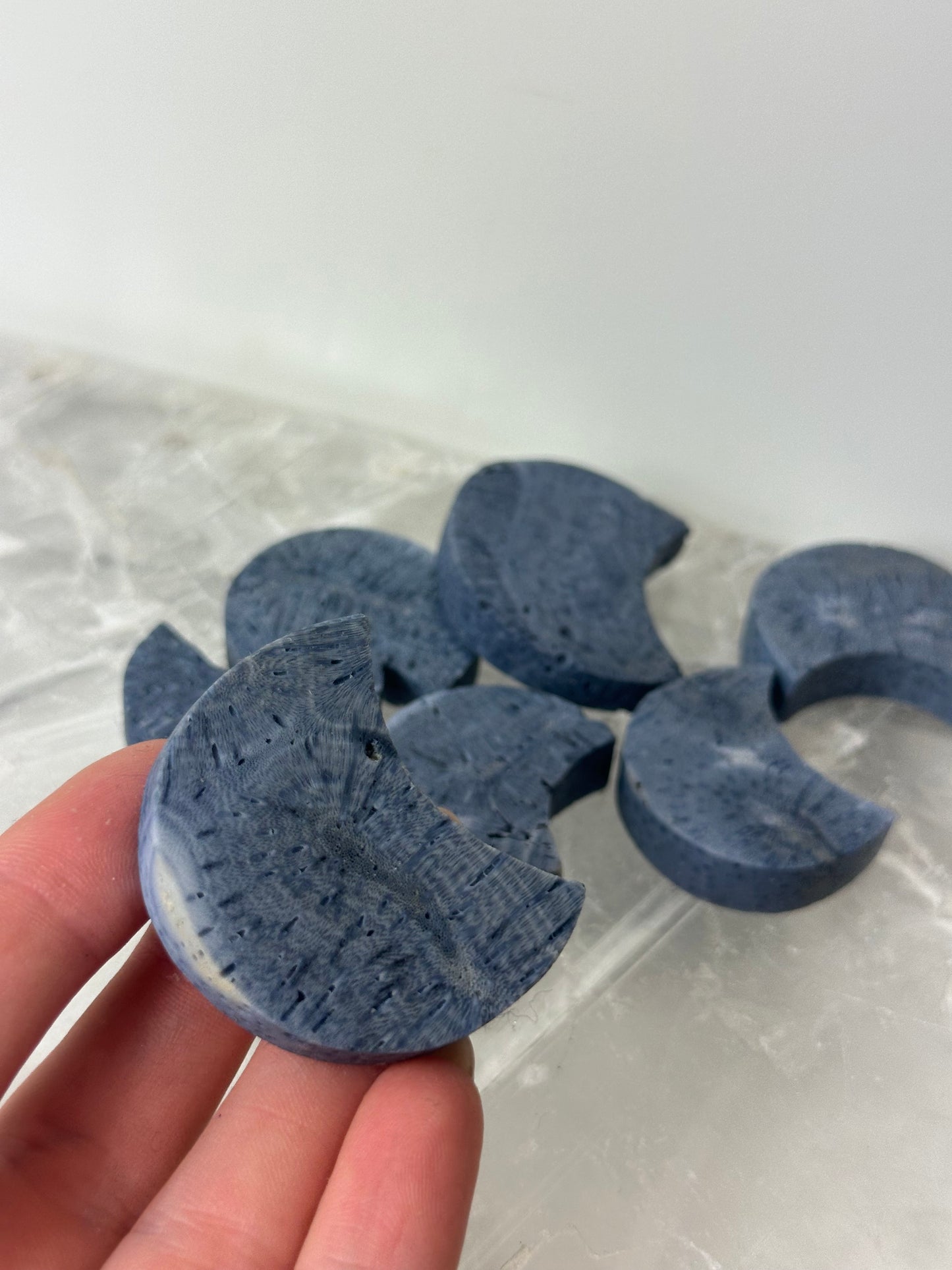 Blue Coral Moons