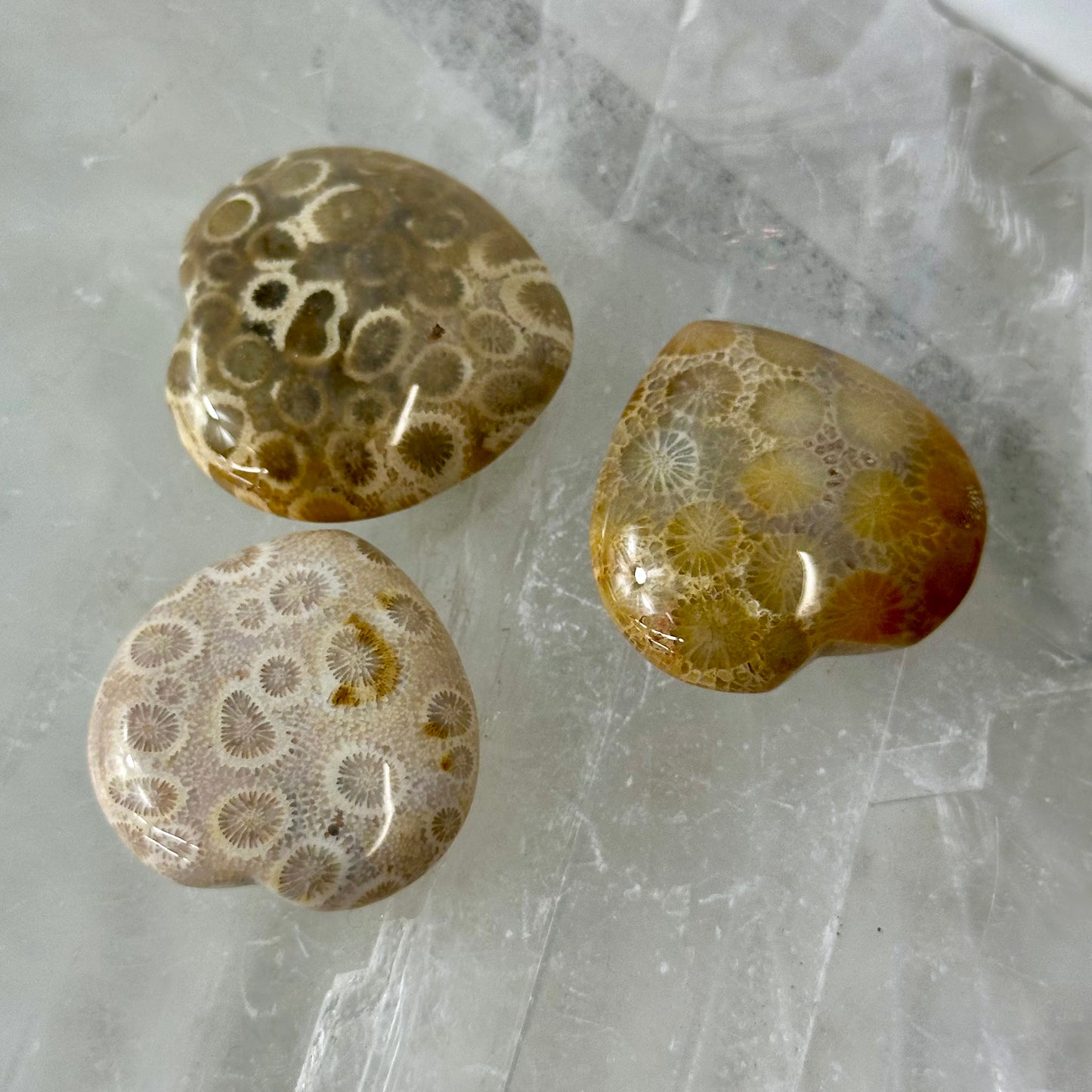 Coral Jasper Heart