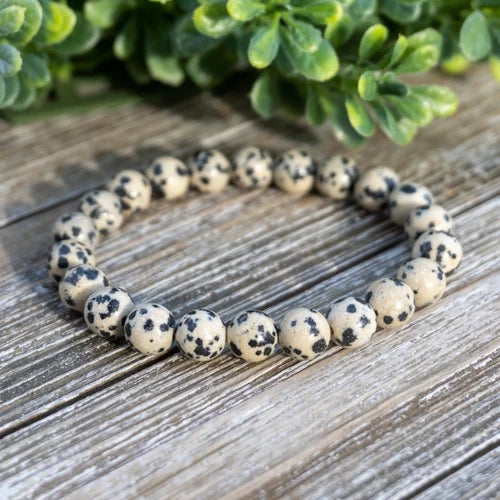 Dalmatian Jasper Bracelet