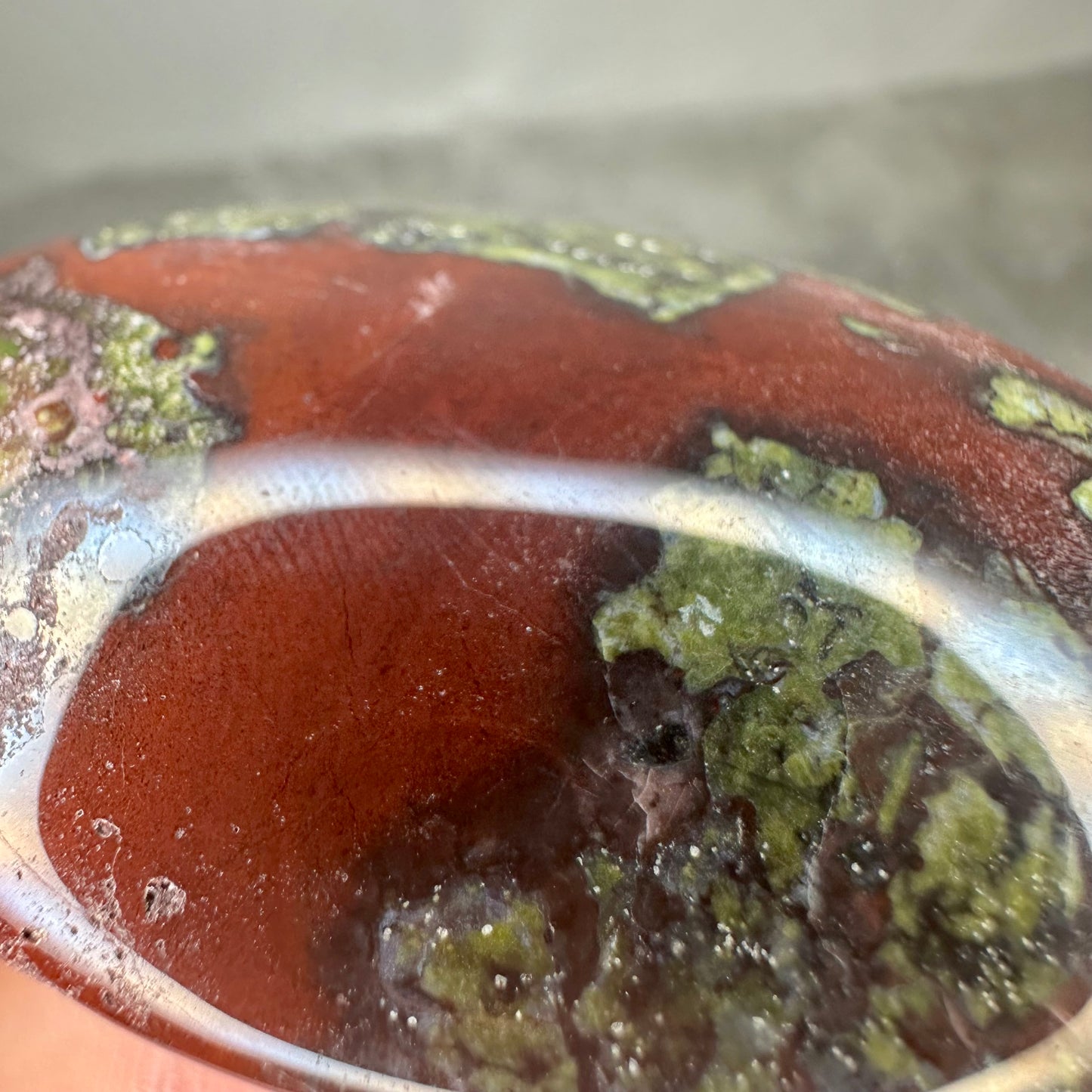 Dragon Blood Palms