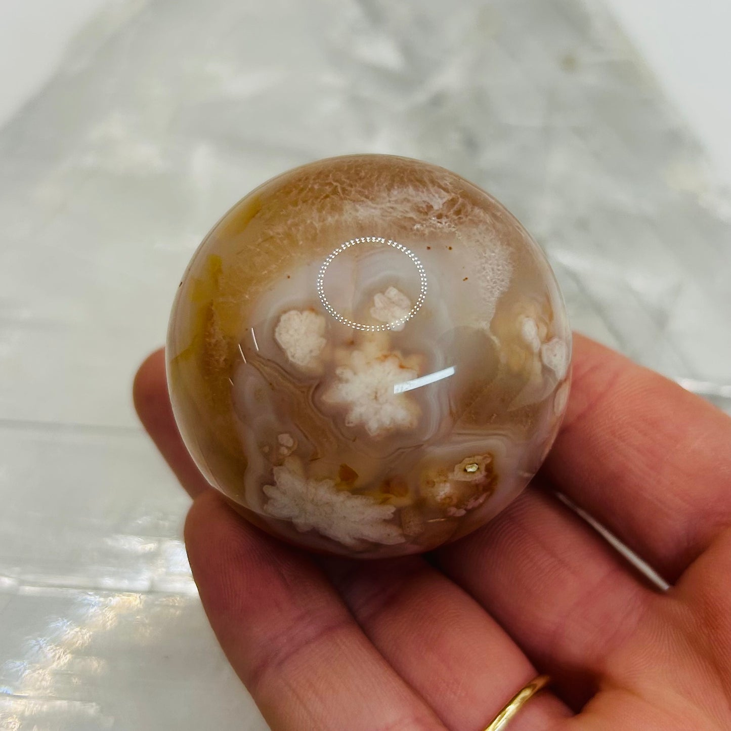 Flower Agate Spheres