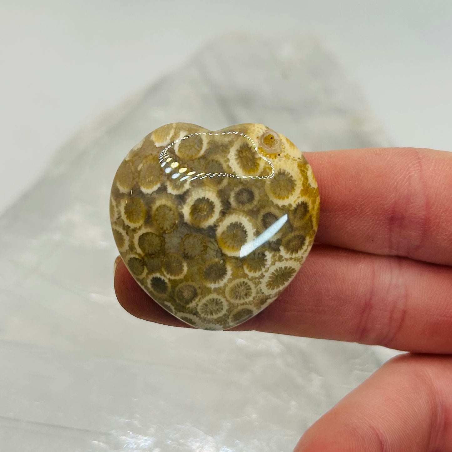 Coral Jasper Heart