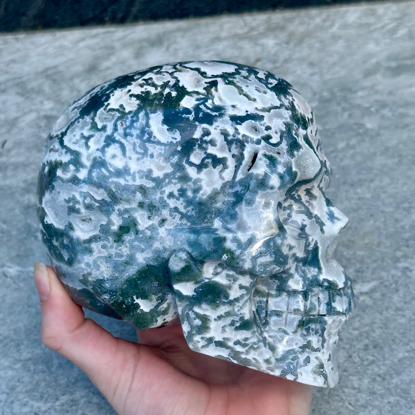 High Grade Moss Agate Skull Craving