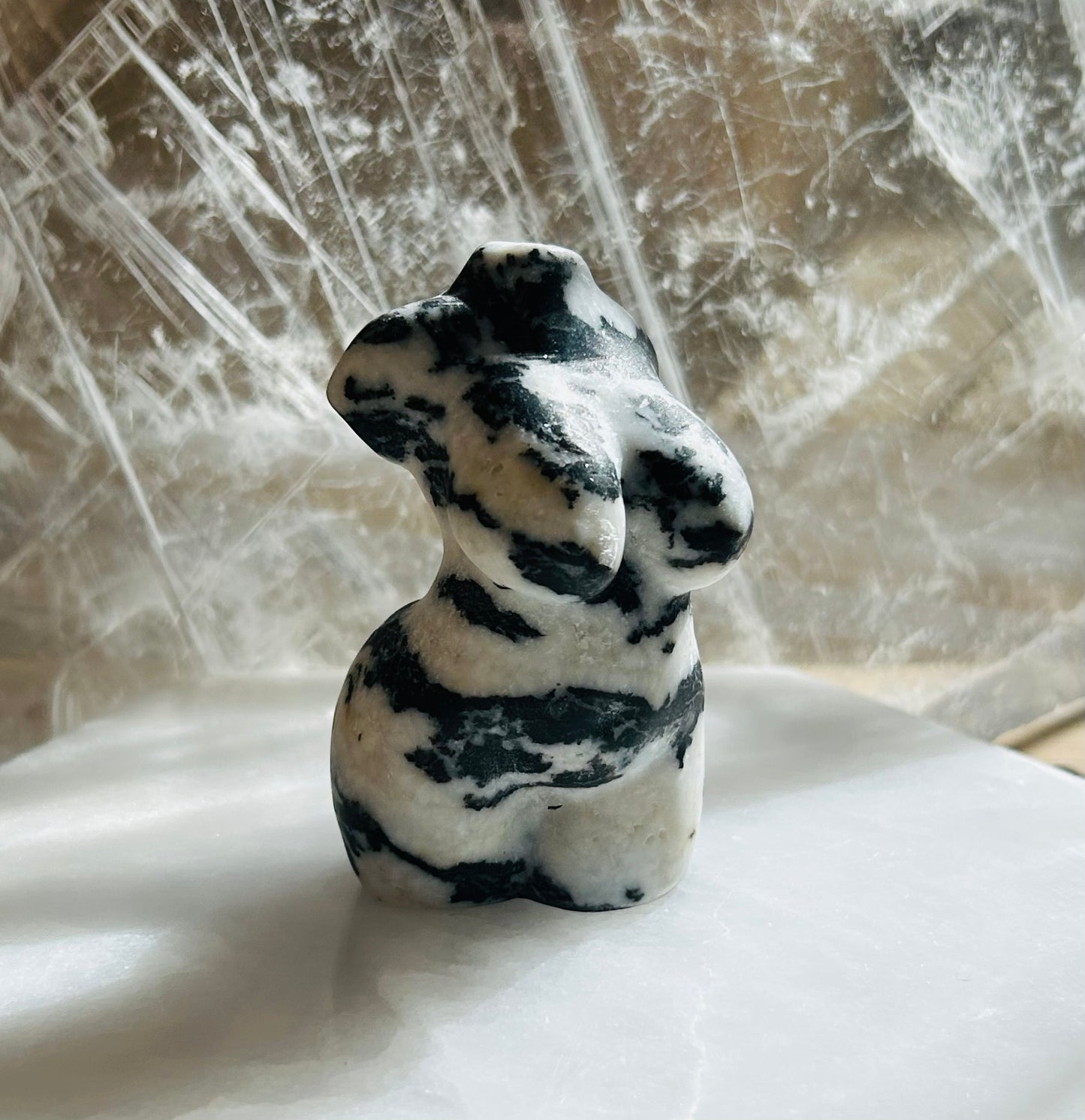 Zebra Jasper Women & Male Bodies