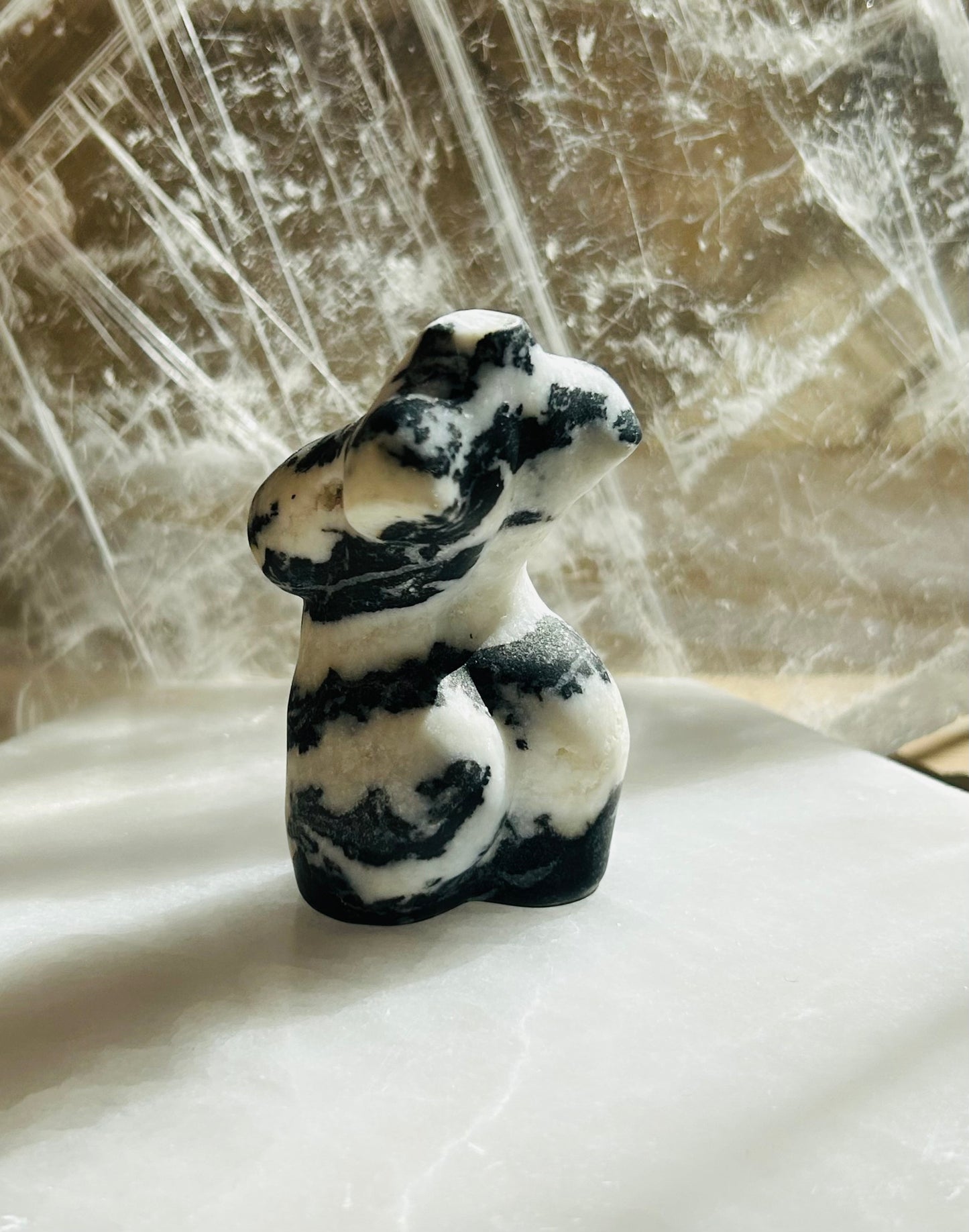 Zebra Jasper Women & Male Bodies