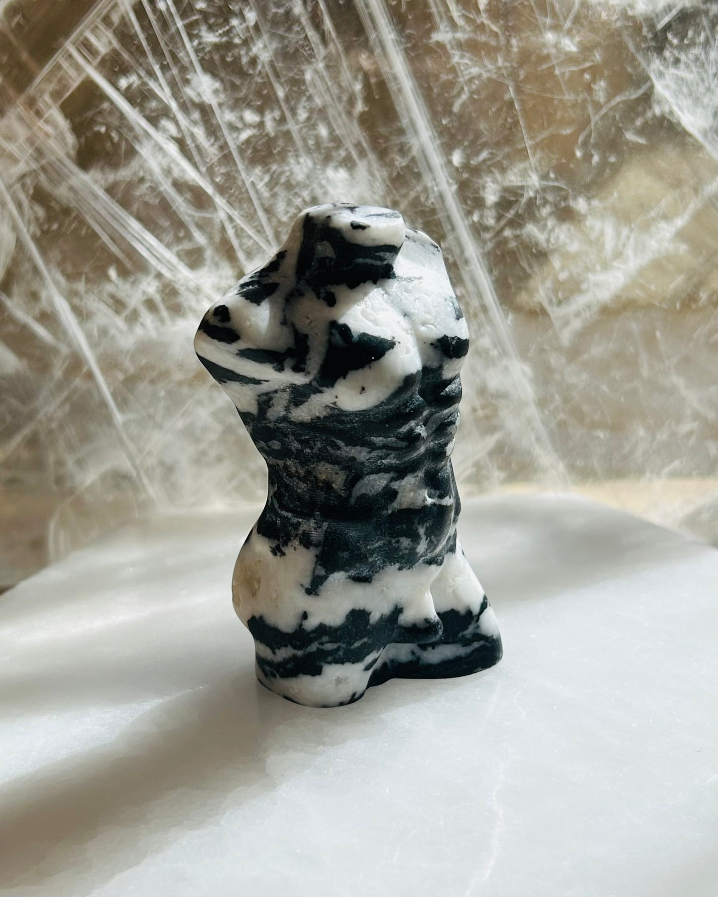 Zebra Jasper Women & Male Bodies