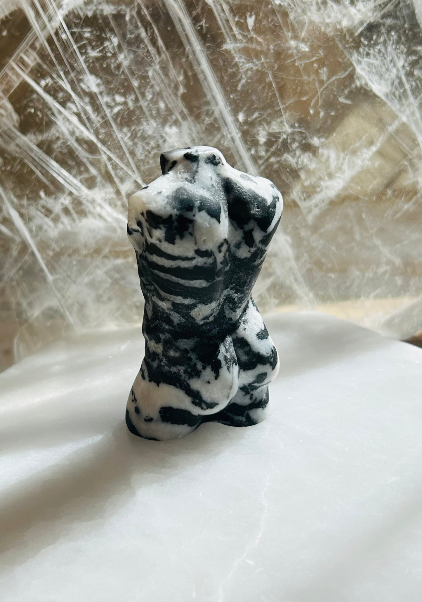 Zebra Jasper Women & Male Bodies