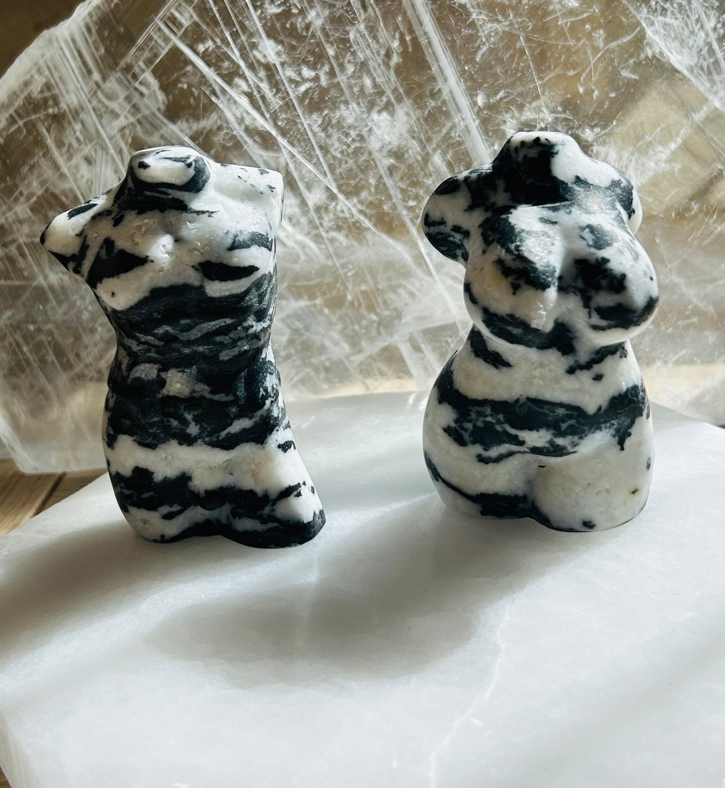 Zebra Jasper Women & Male Bodies