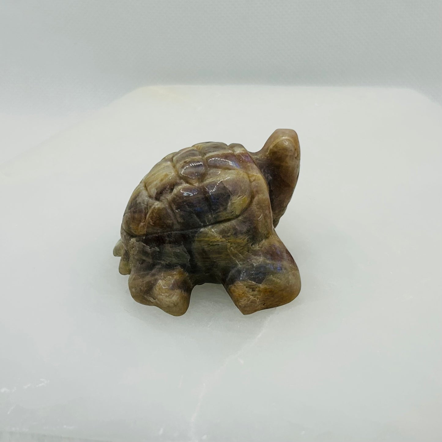 Moonstone Turtle