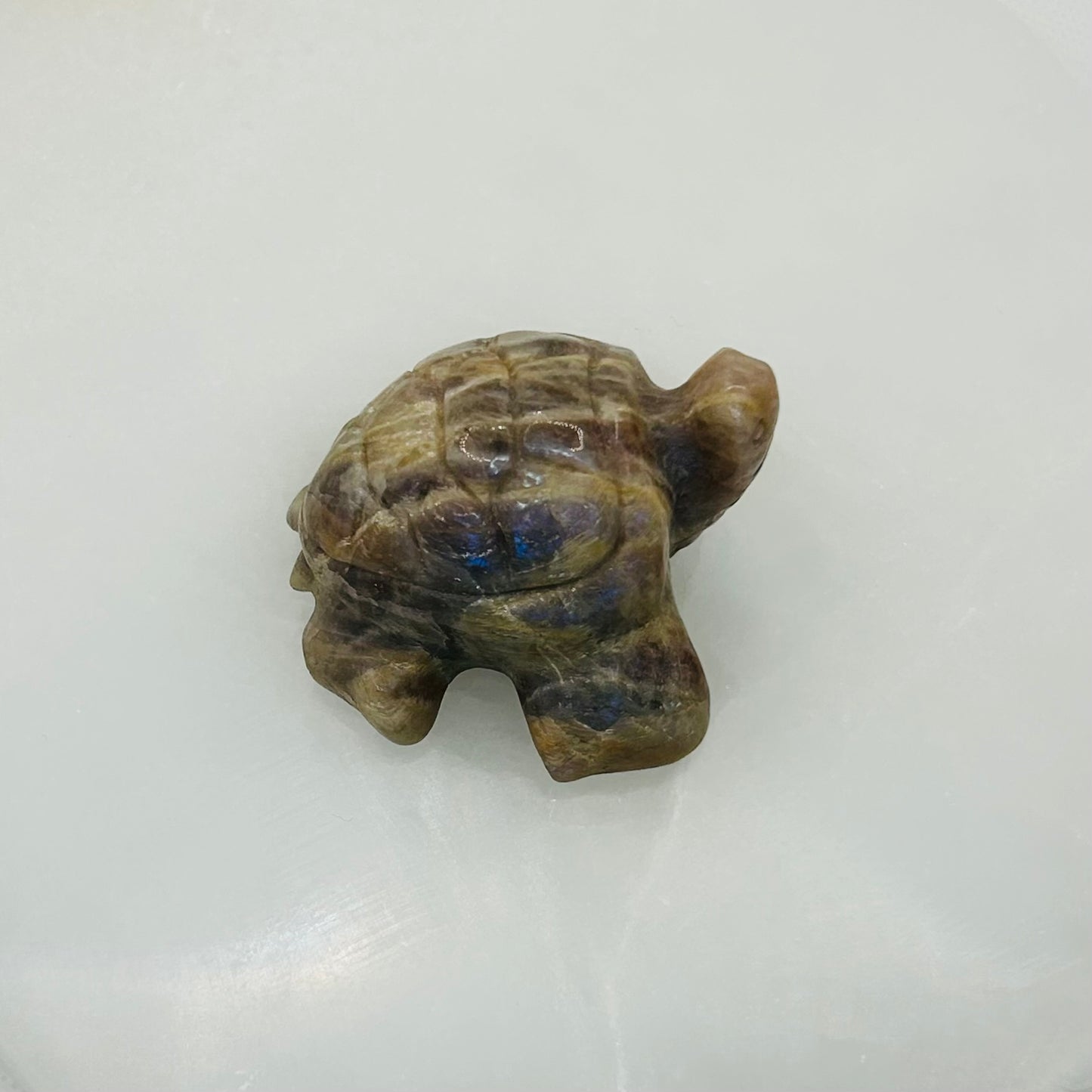 Moonstone Turtle