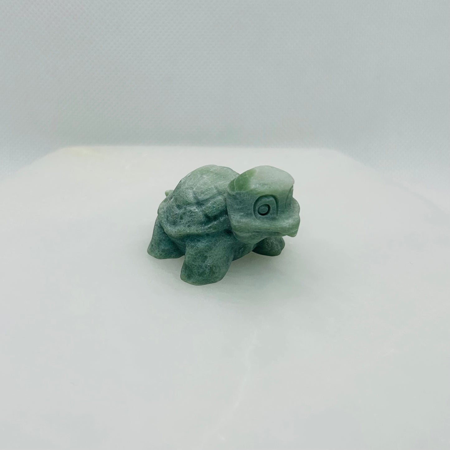 Squirtle Turtle