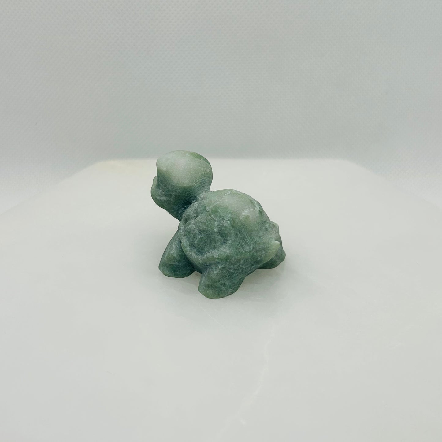 Squirtle Turtle