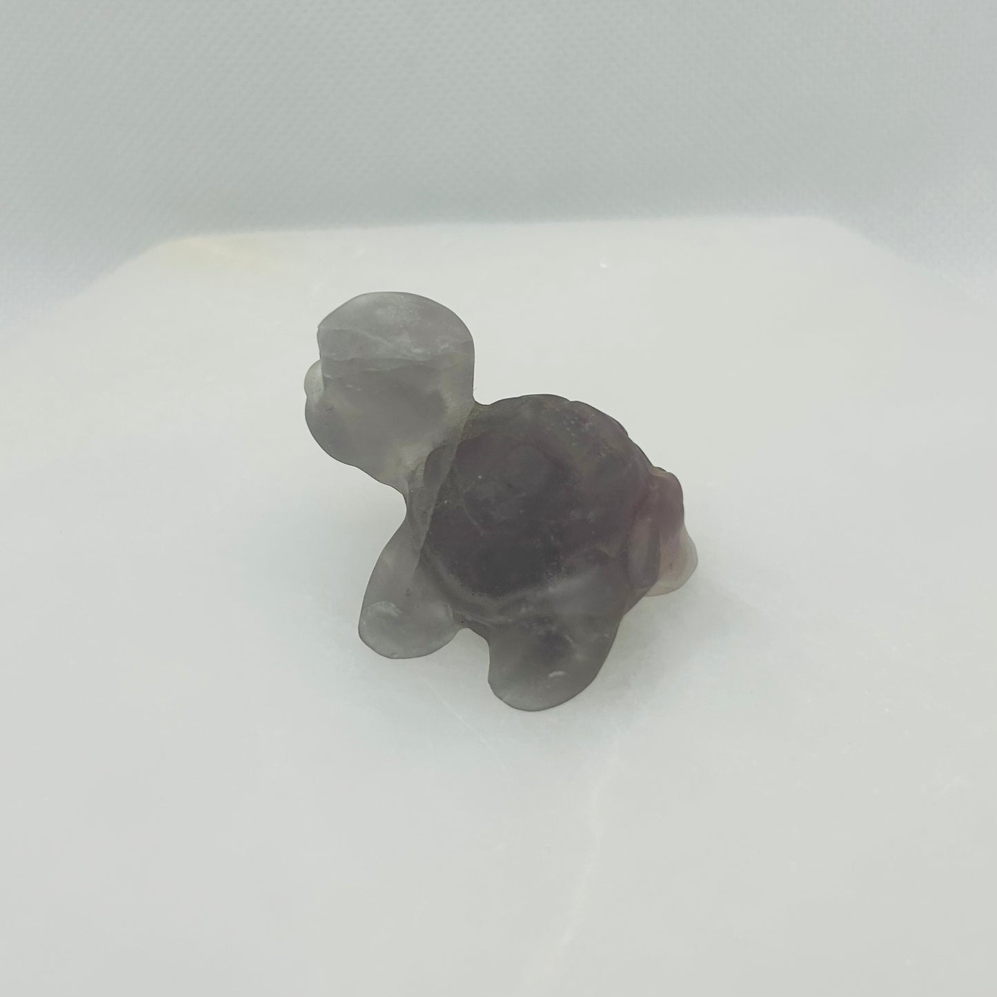 Squirtle Turtle