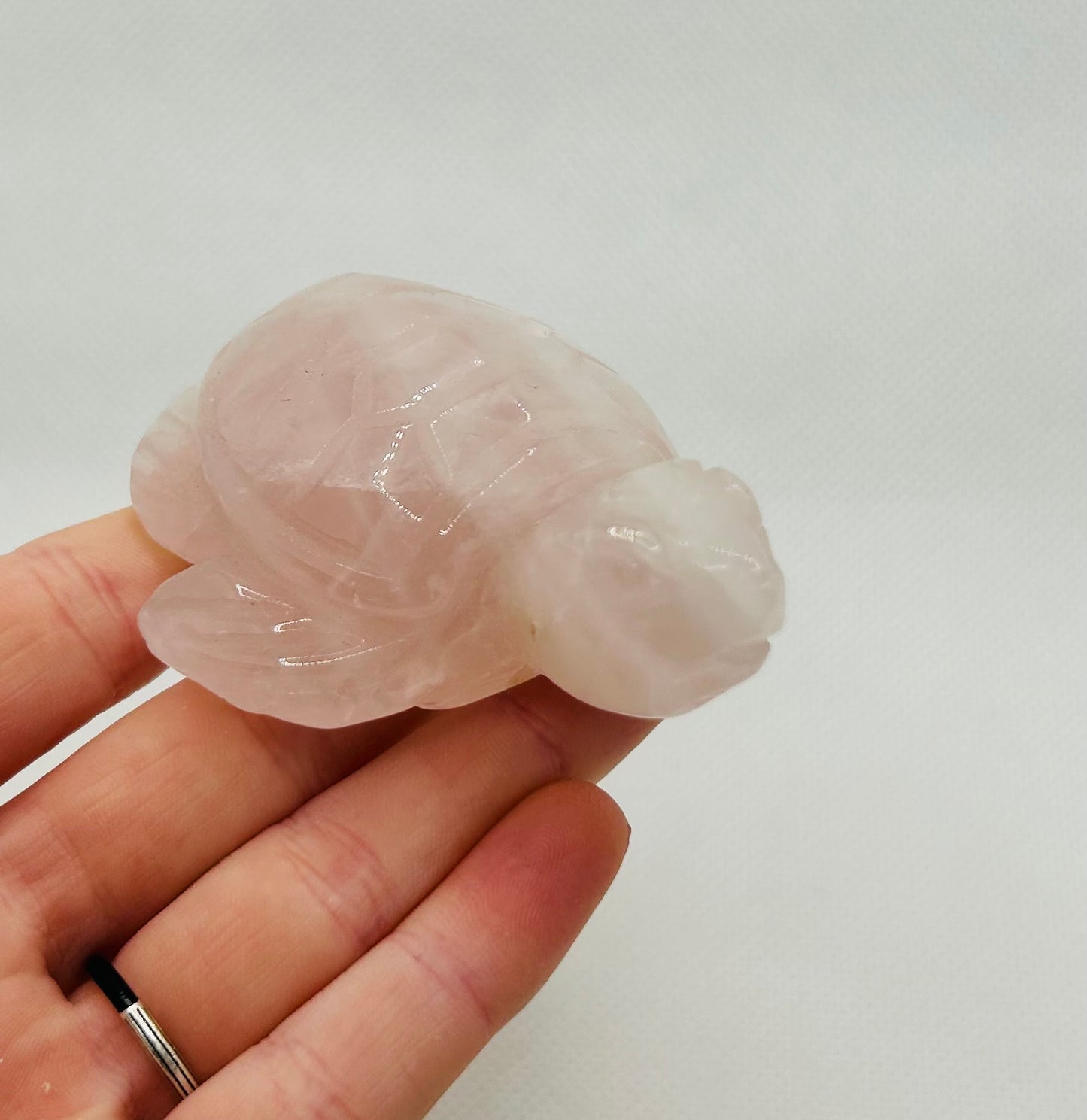 Rose Quartz Turtle