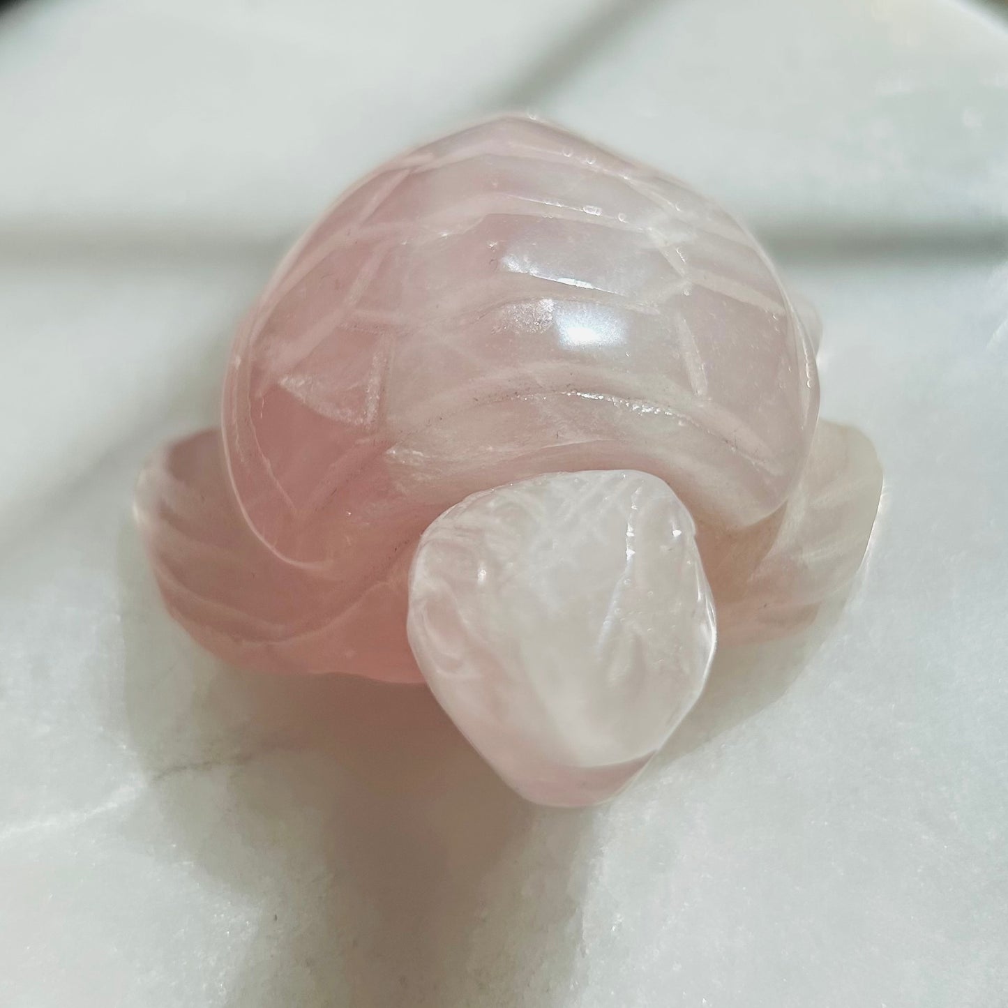 Rose Quartz Turtle