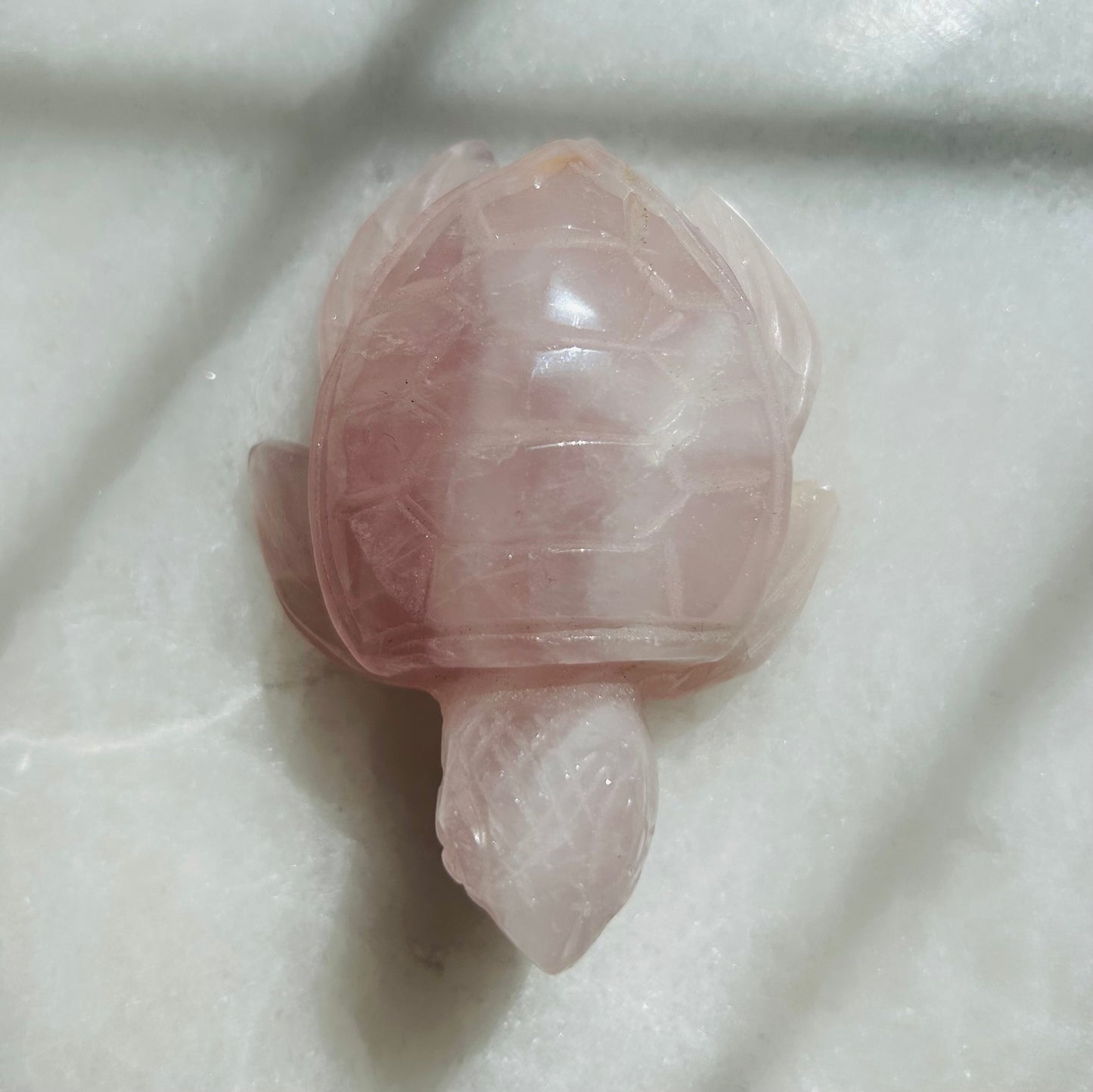 Rose Quartz Turtle