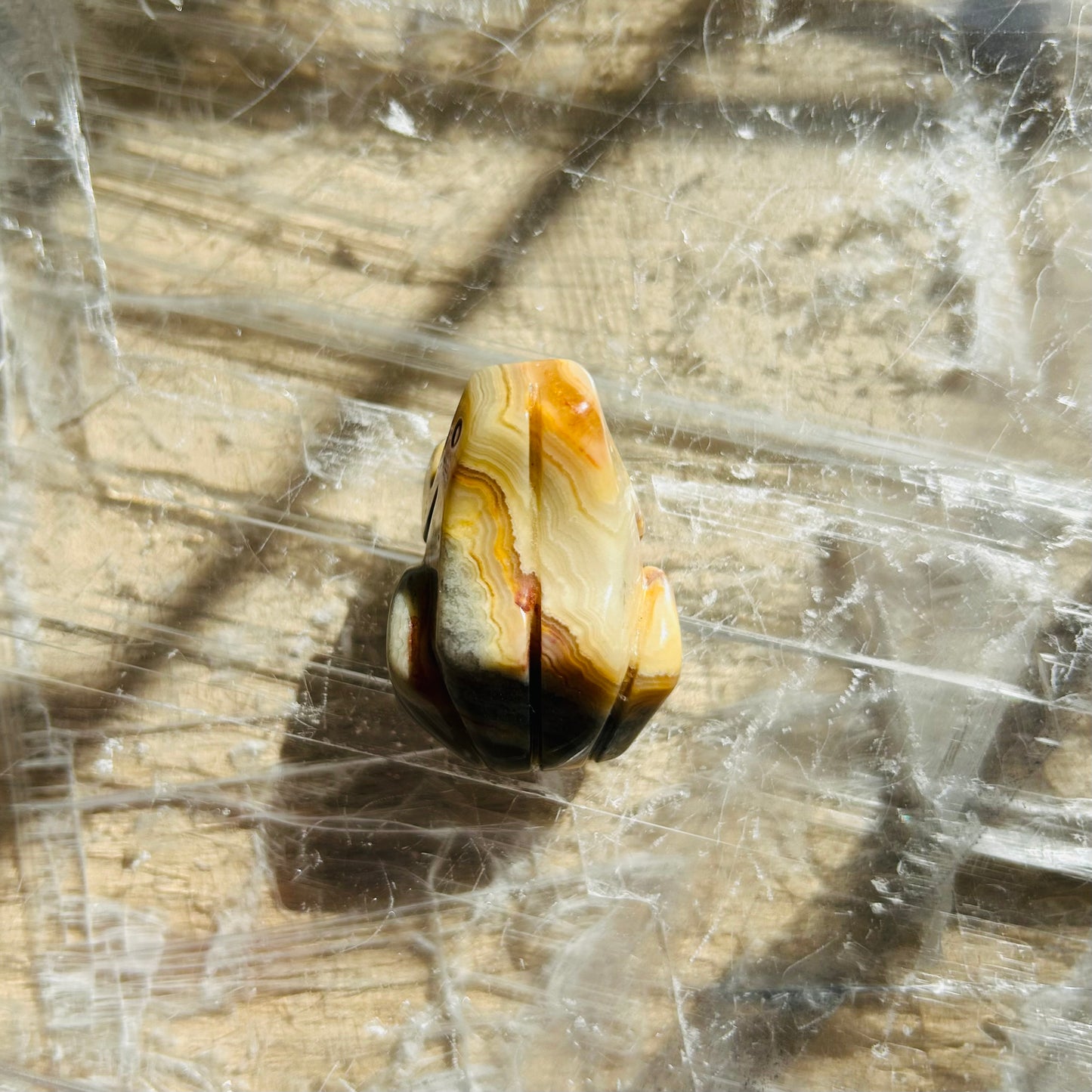 Crazy Lace Agate Frog