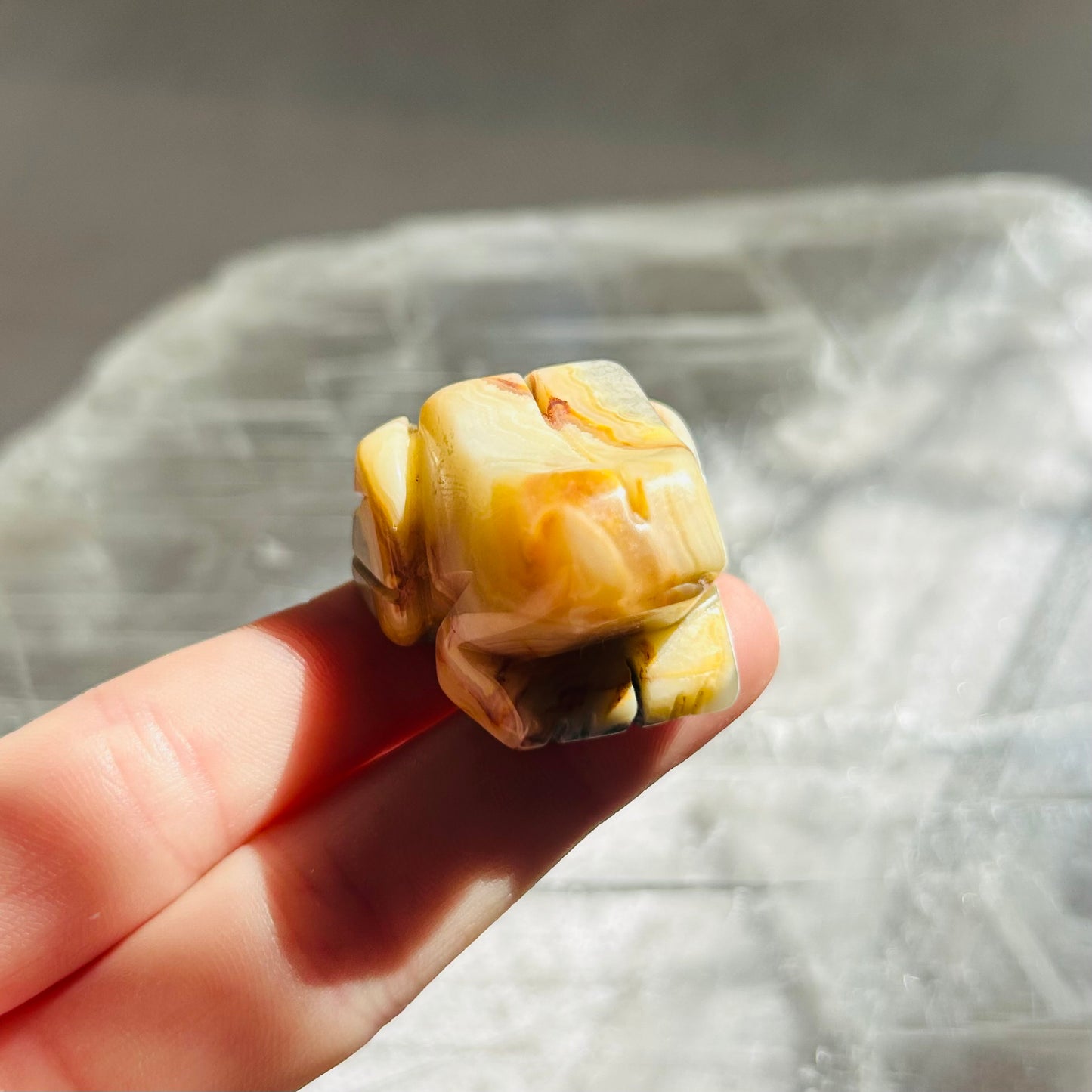 Crazy Lace Agate Frog