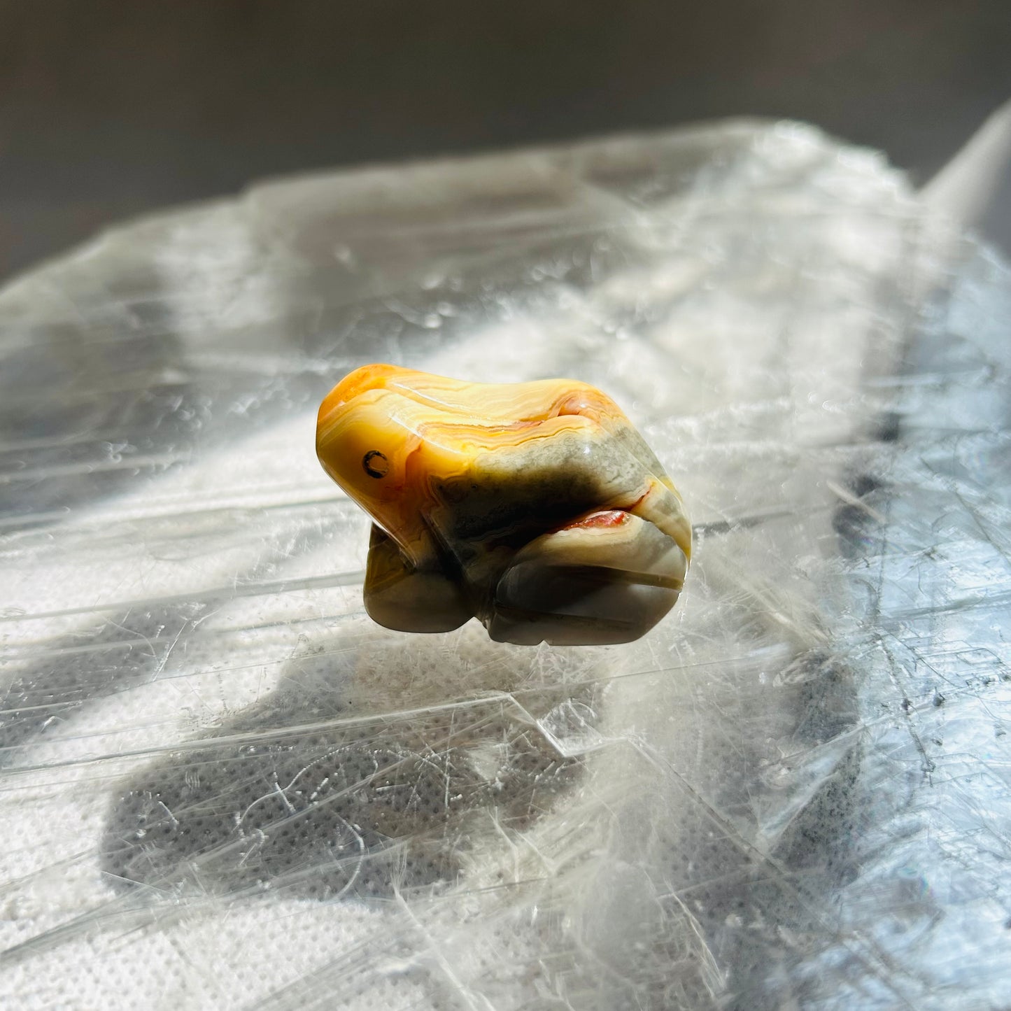 Crazy Lace Agate Frog